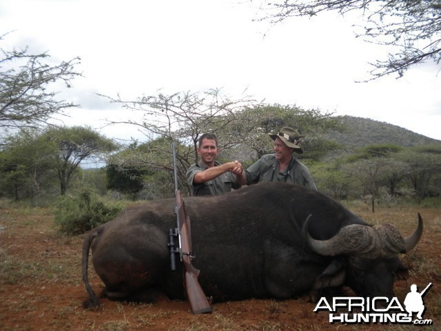 Cape Buffalo with Leeukop Safaris