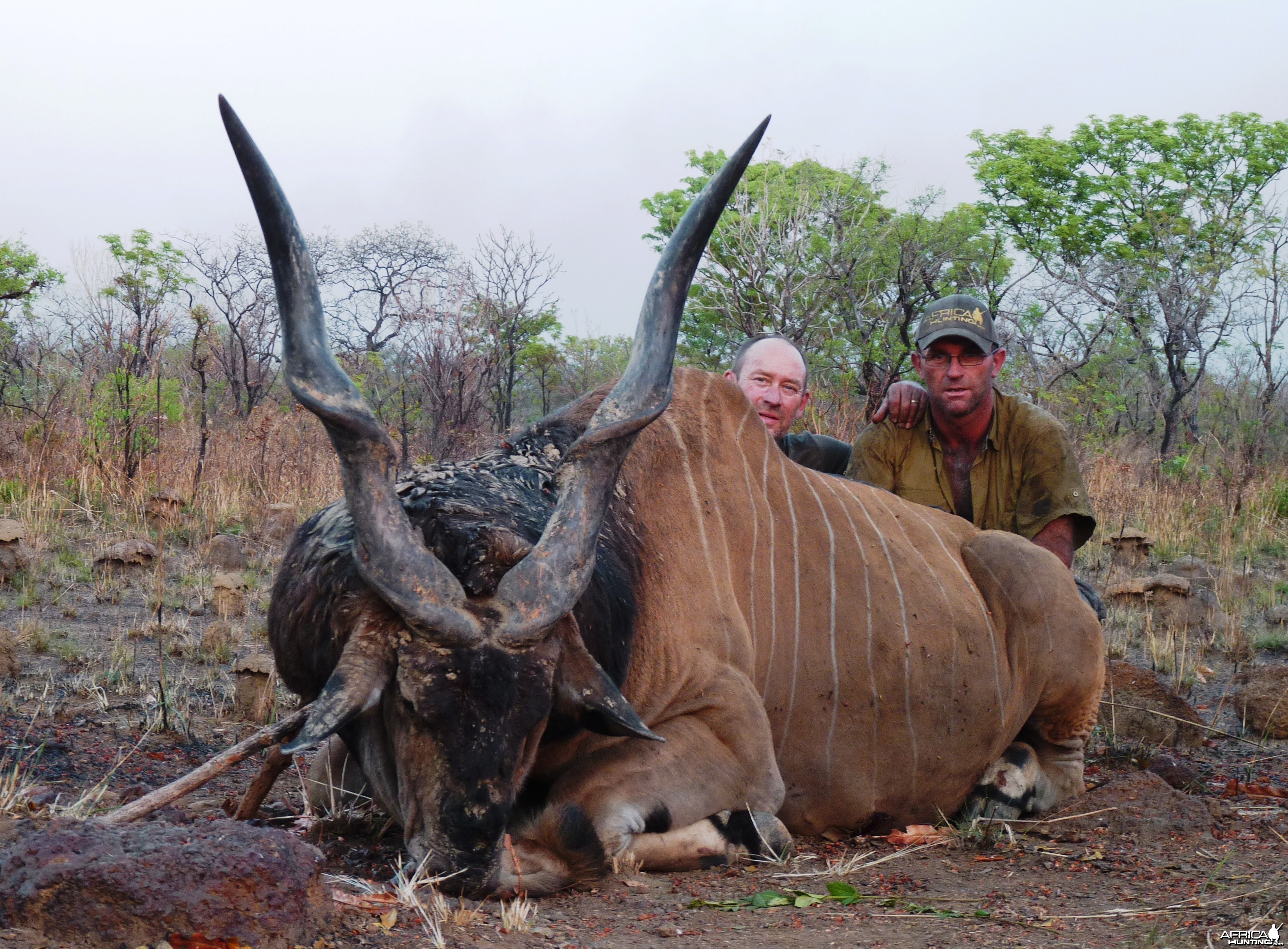 Hunting Giant Eland in Central African Republic