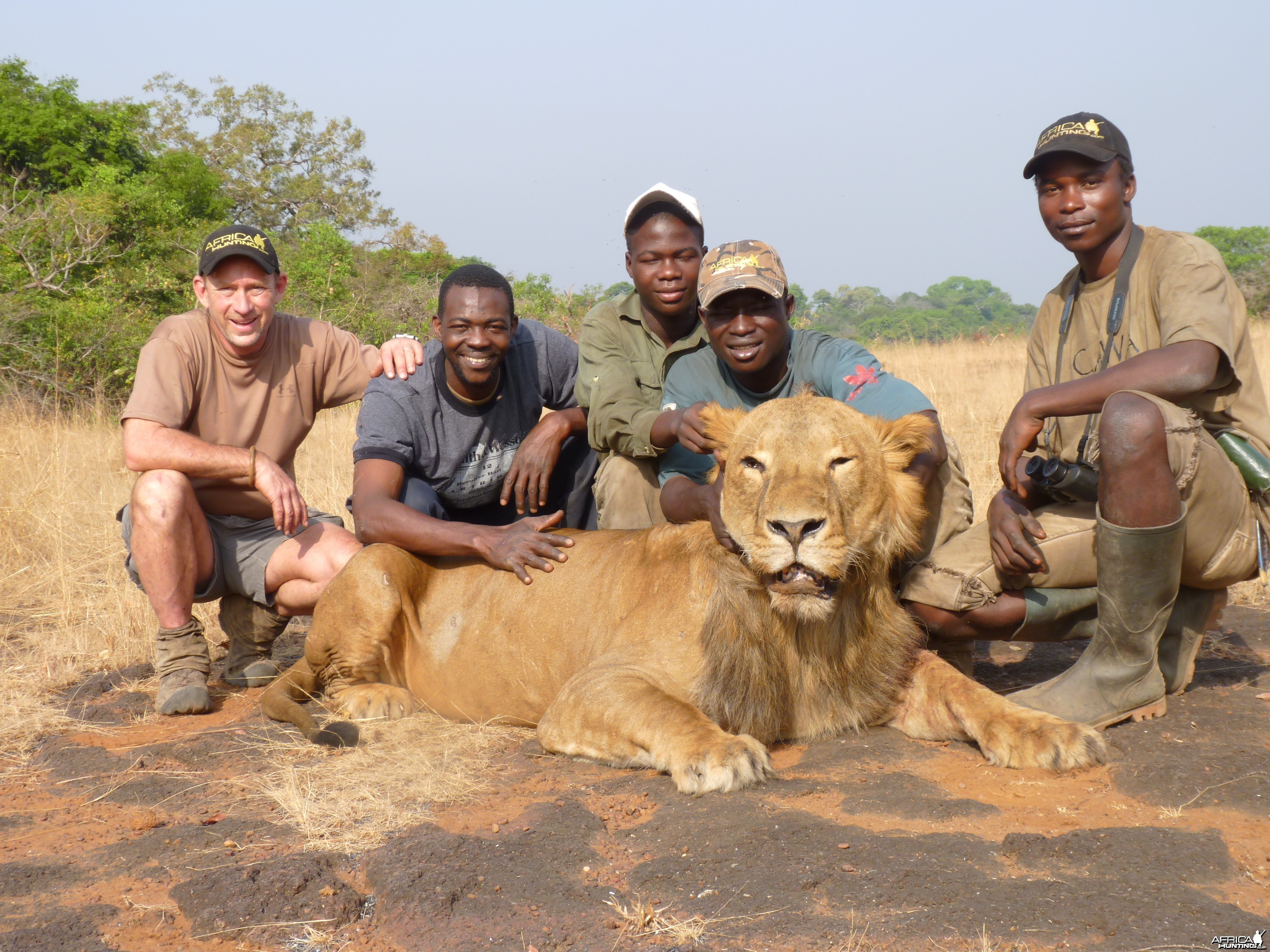 Hunting Lion in Central African Republic
