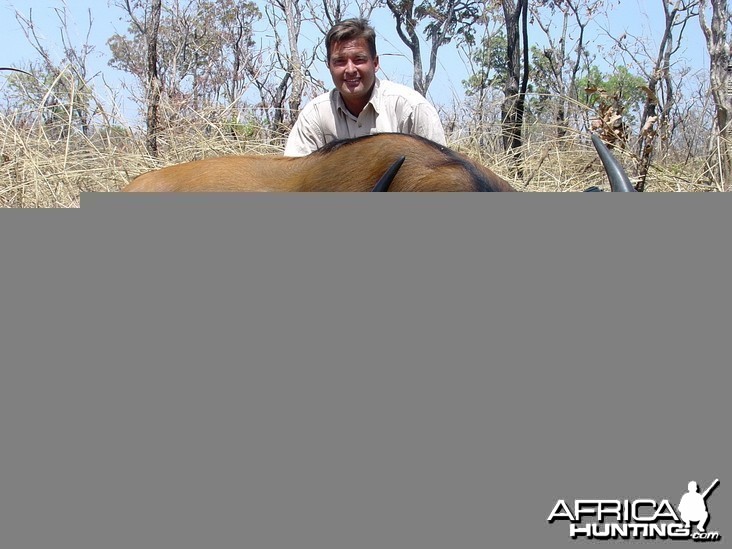 Hunting West African Savannah Buffalo