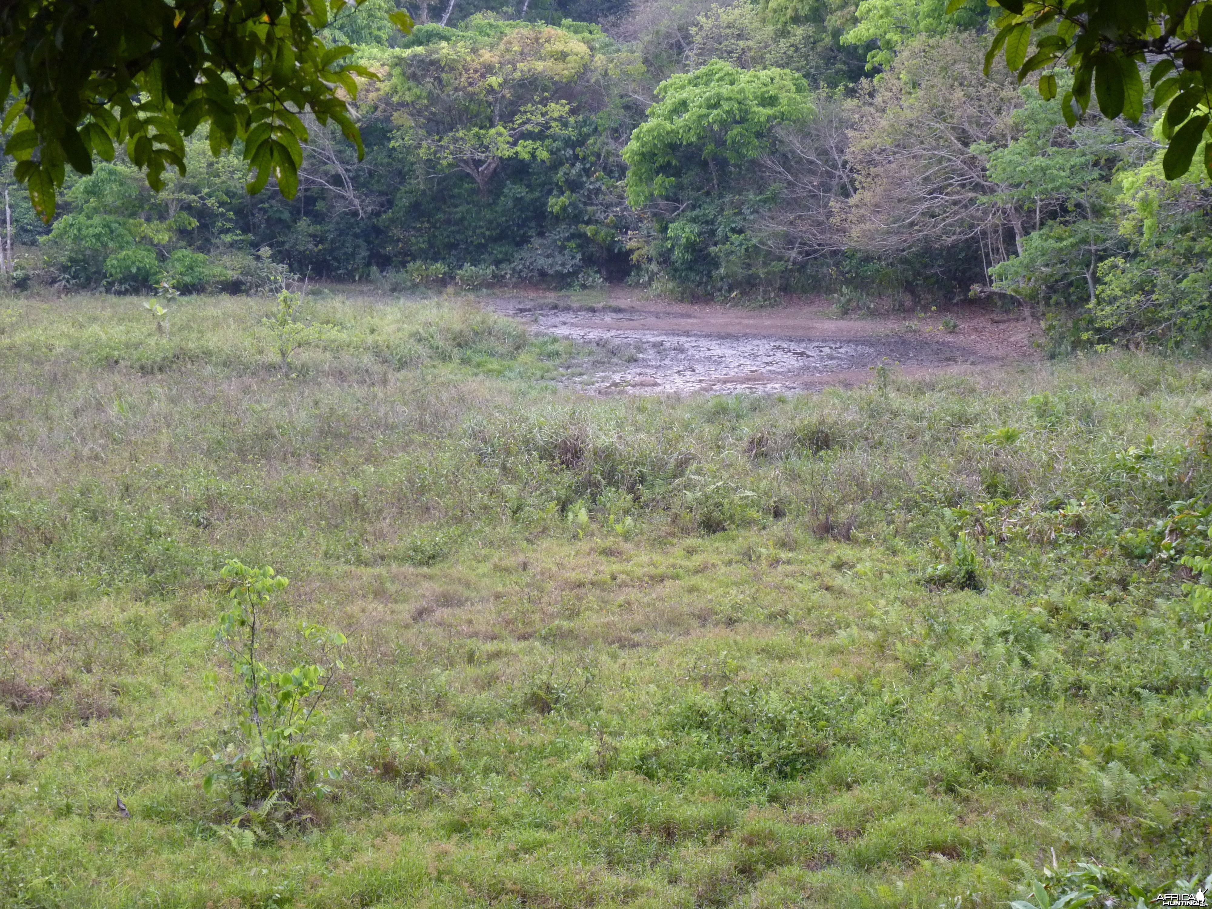 Hunting in Central African Republic