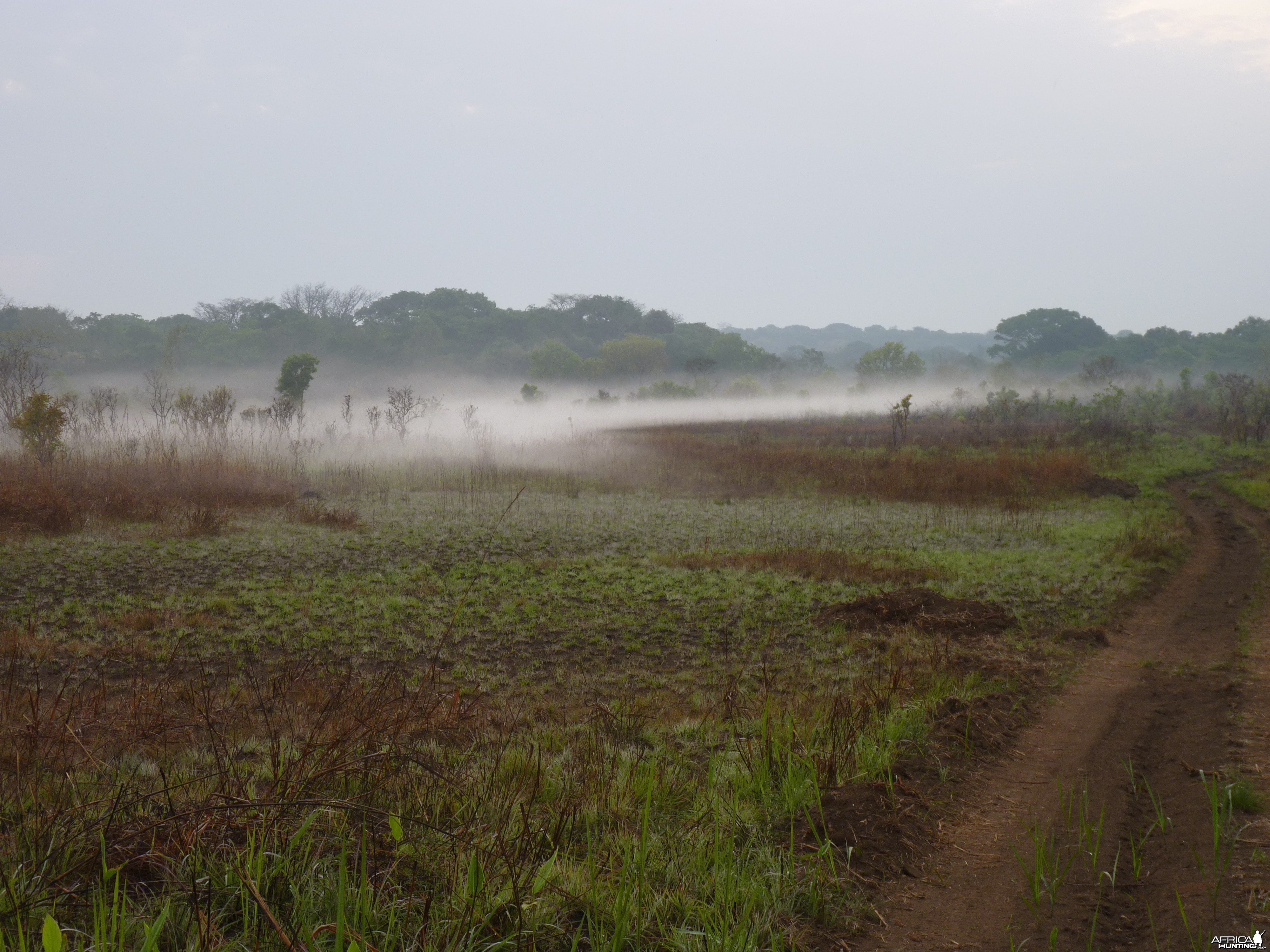 Hunting in CAR