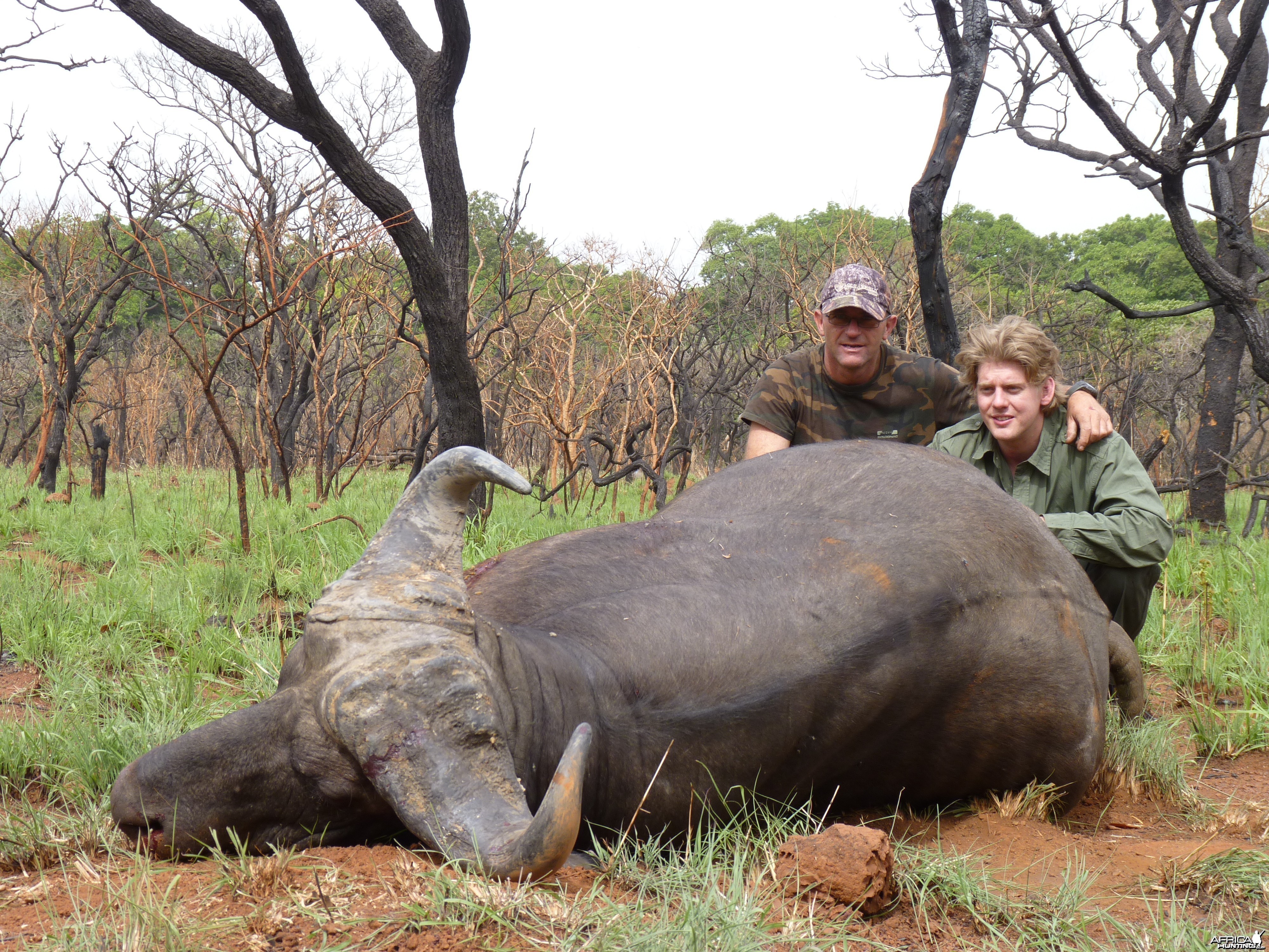 Hunting Buffalo in CAR