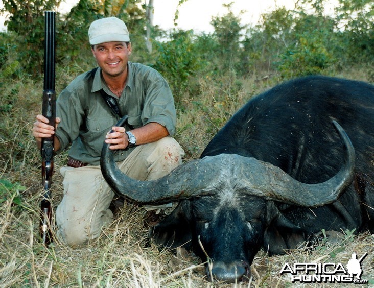 Cape Buffalo Hunting