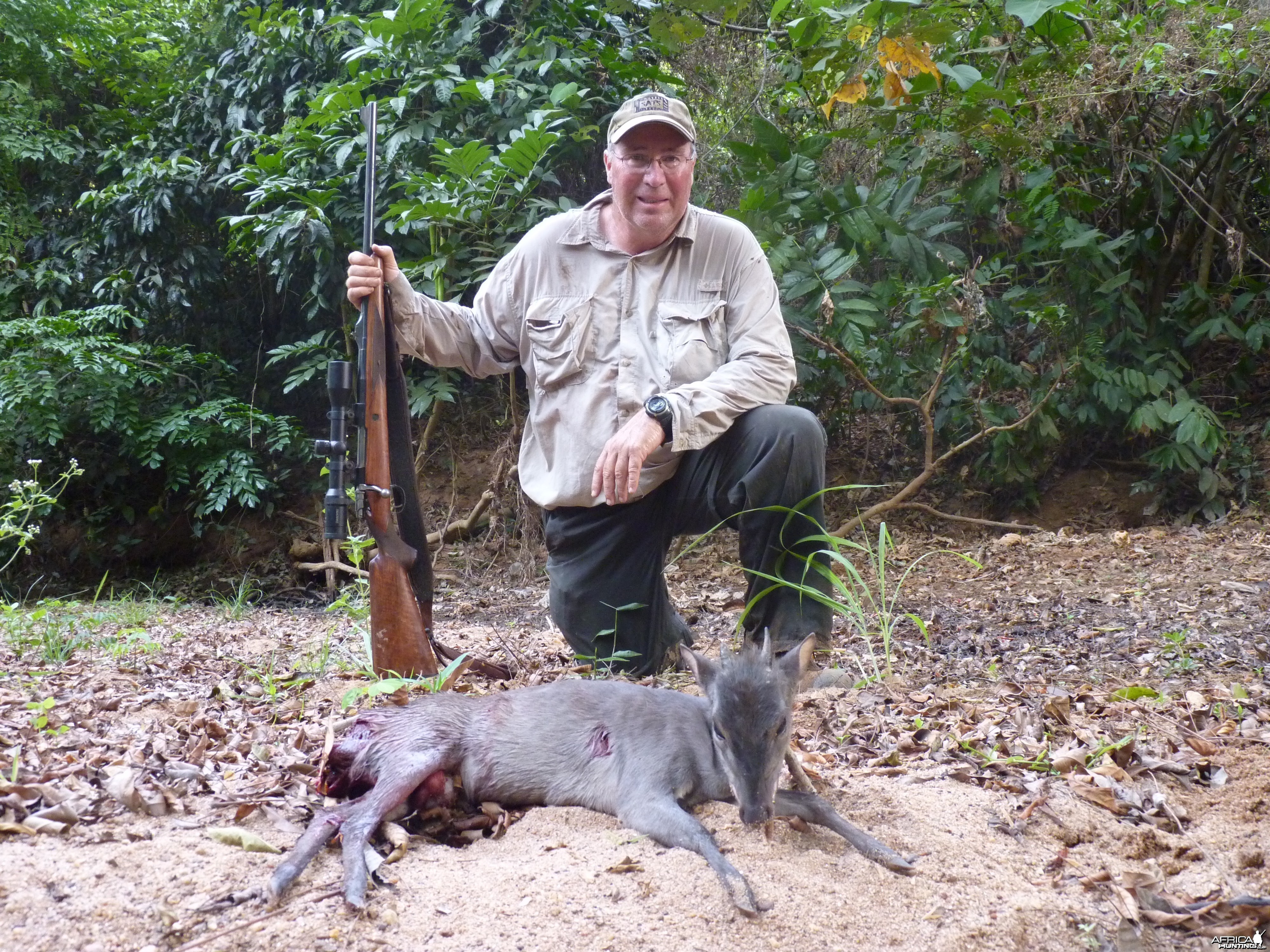 Blue Duiker hunted in CAR