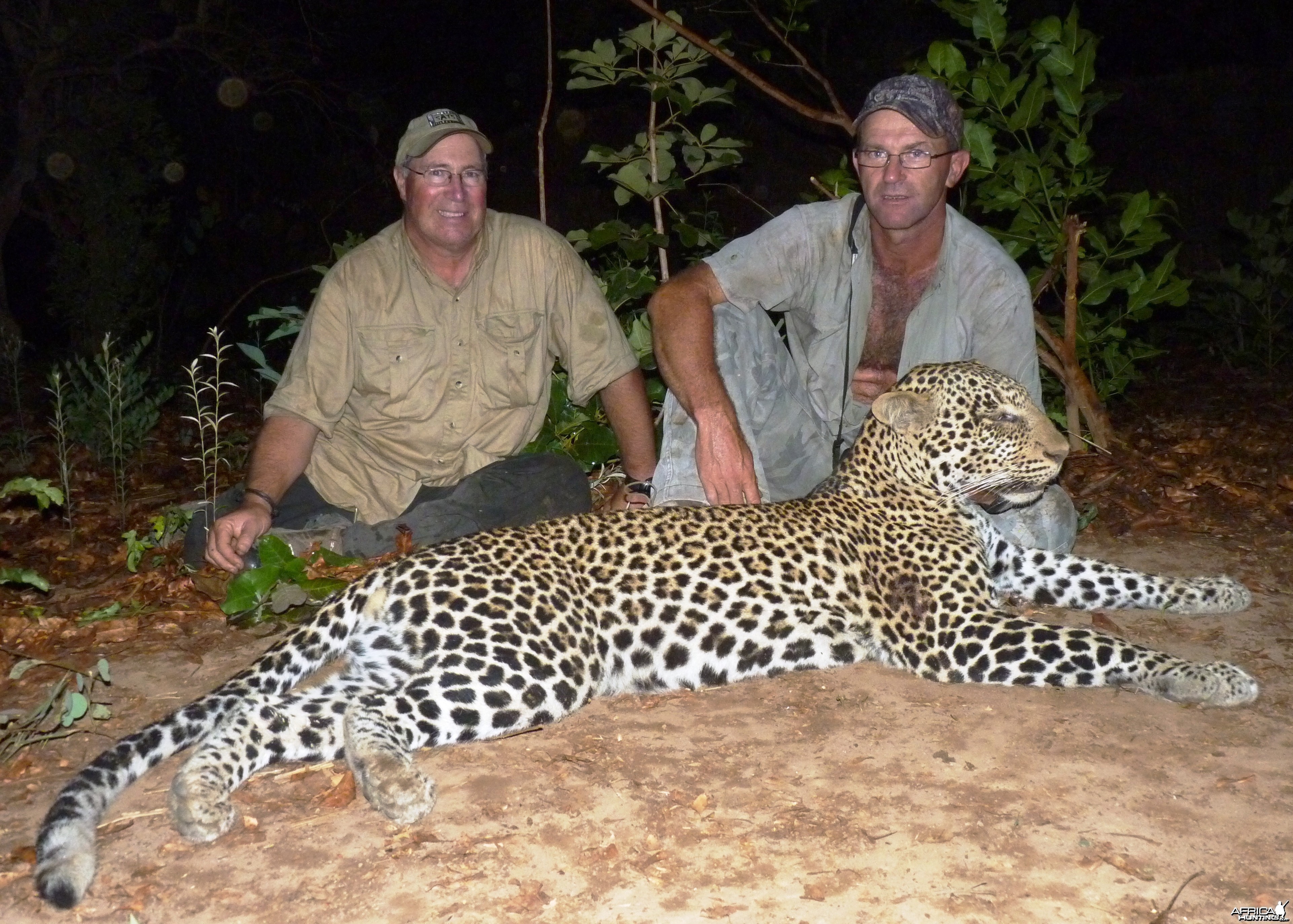 Leopard hunted in CAR