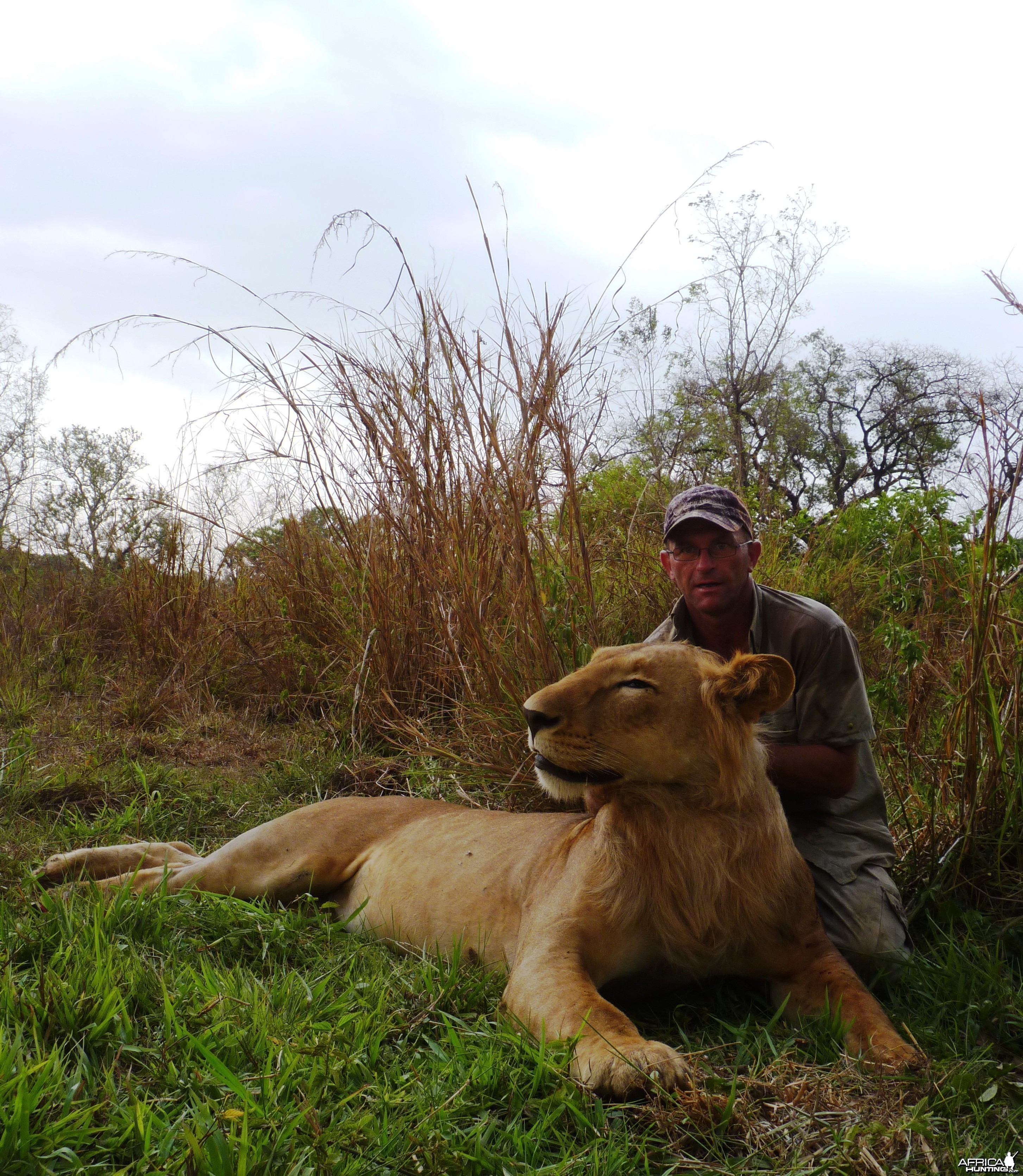 Lion hunted in CAR