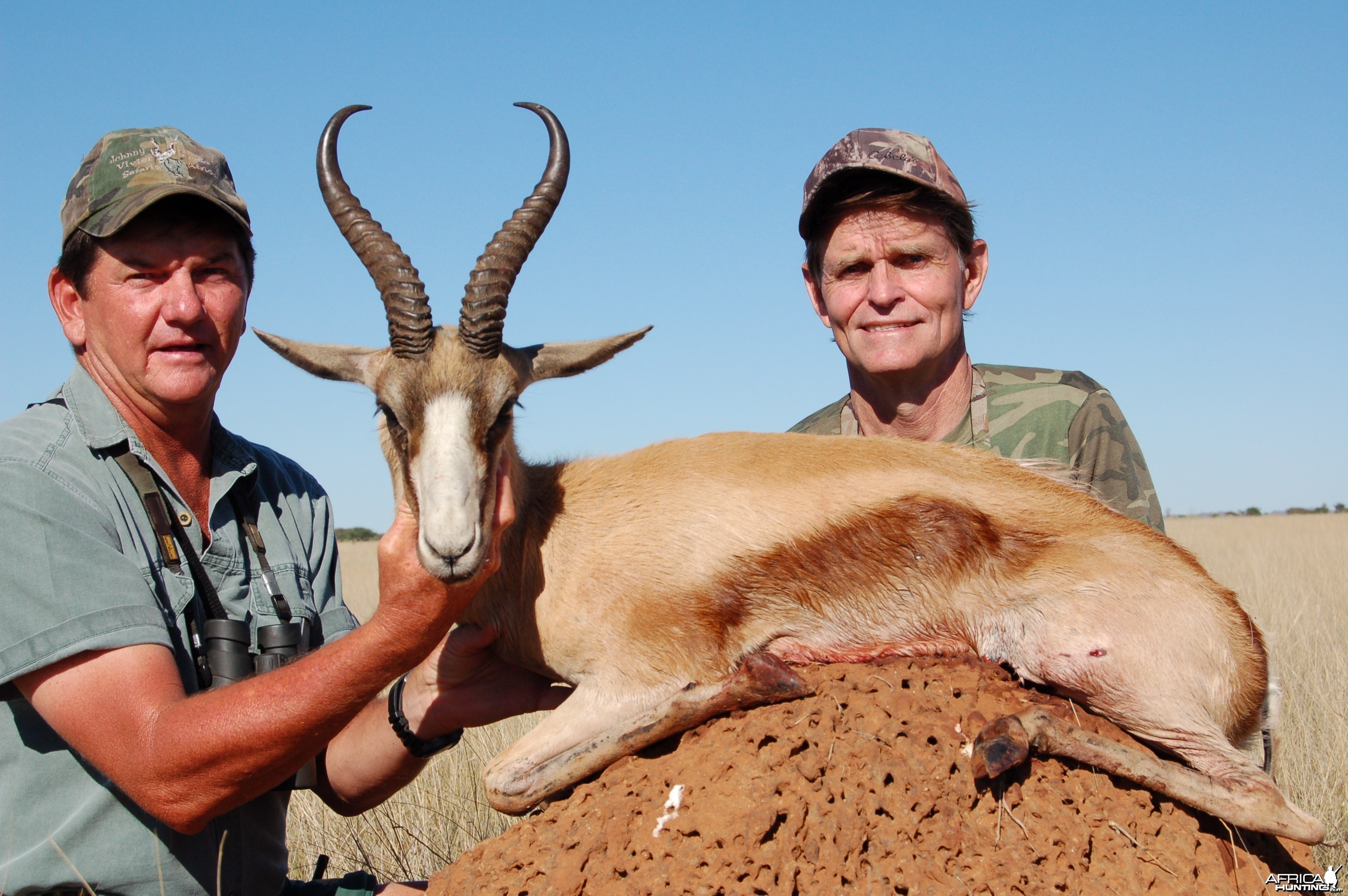Hunting Copper Springbuck with Wintershoek Johnny Vivier Safaris in SA
