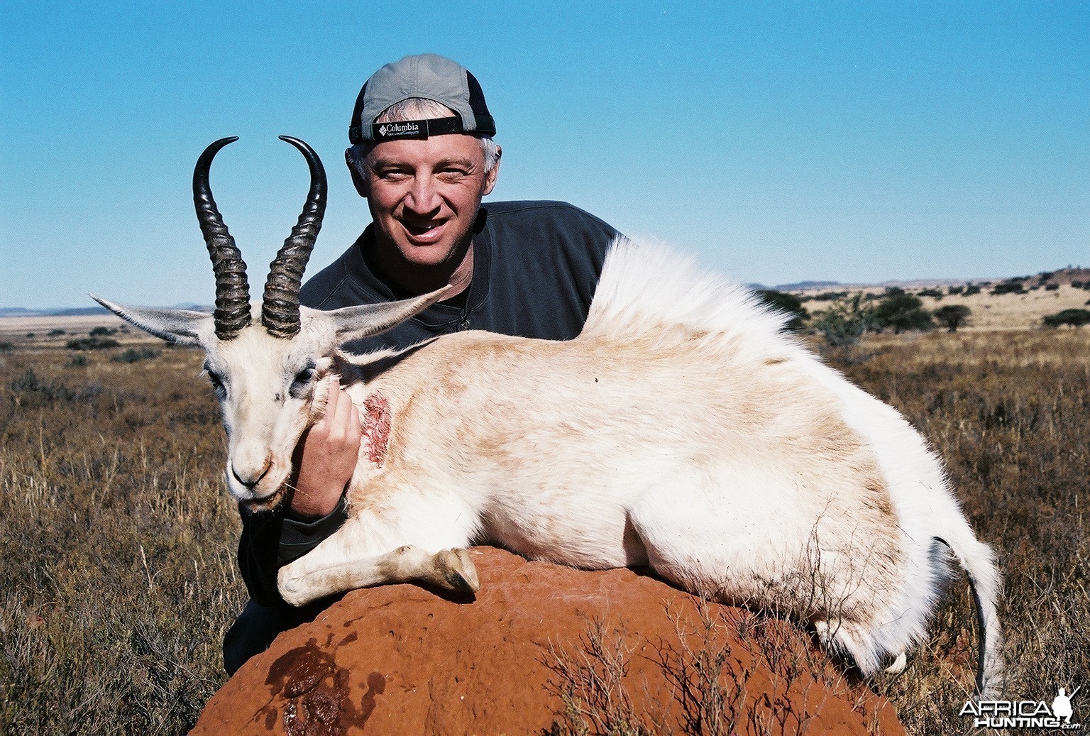 Hunting White Springbuck with Wintershoek Johnny Vivier Safaris in SA