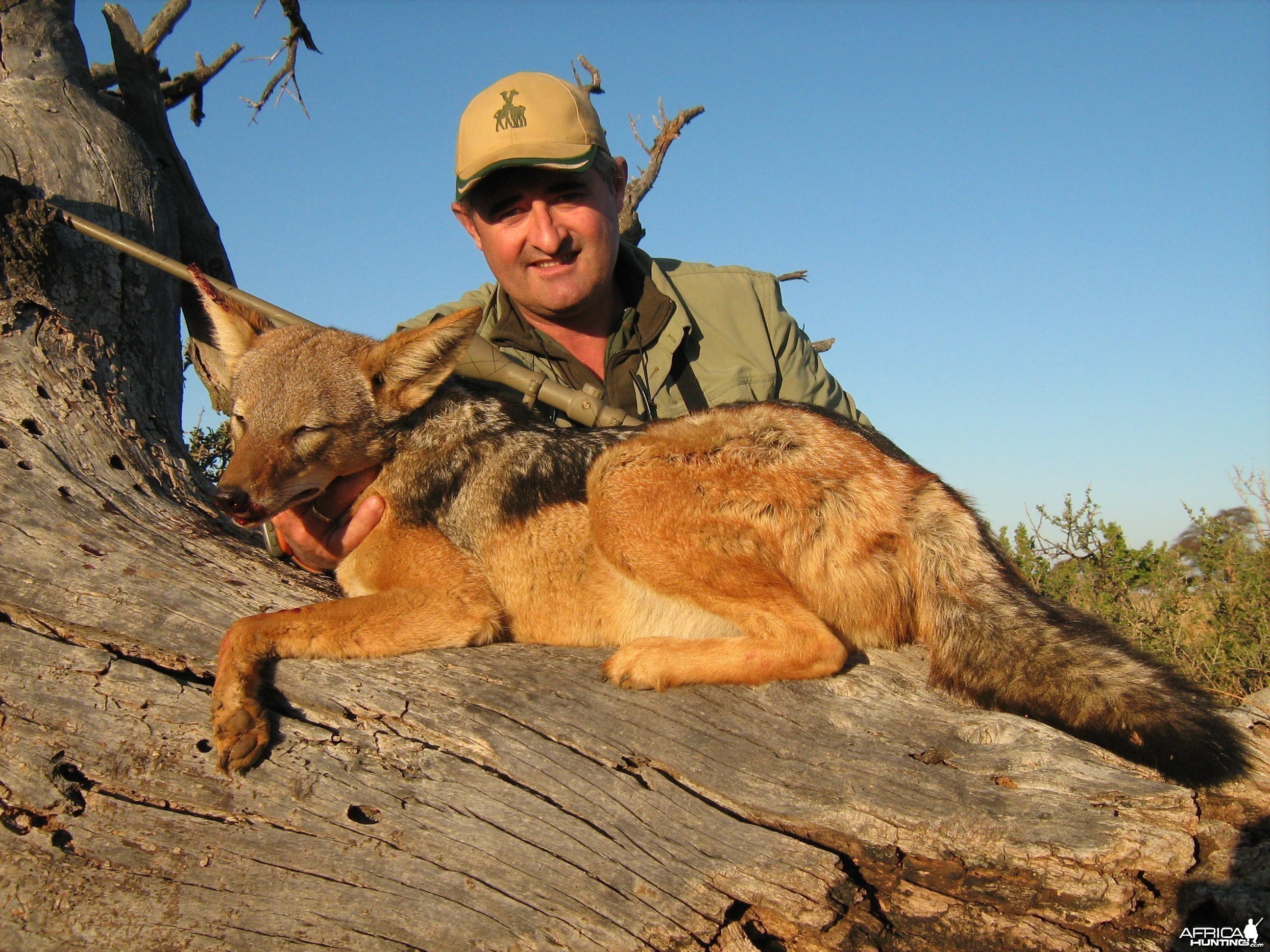 Hunting Jackal with Wintershoek Johnny Vivier Safaris in SA