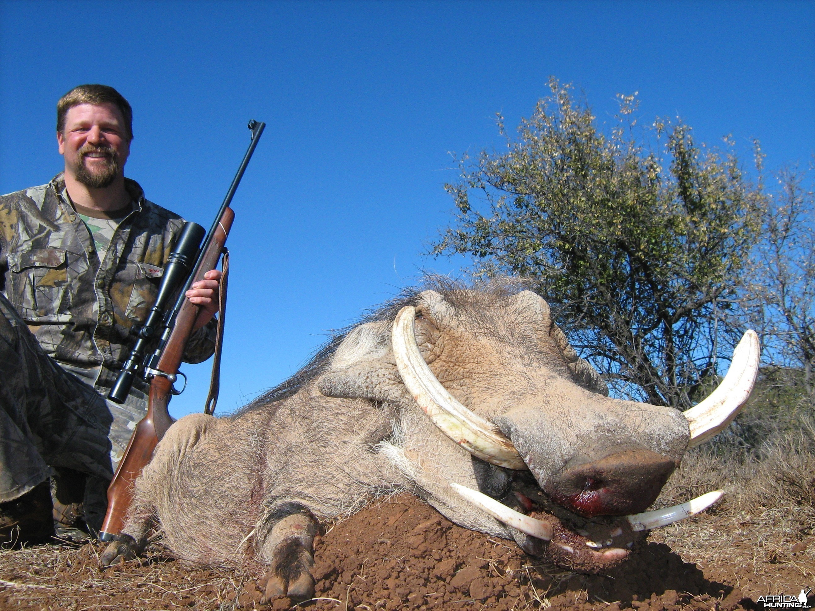 Hunting Warthog with Wintershoek Johnny Vivier Safaris in SA