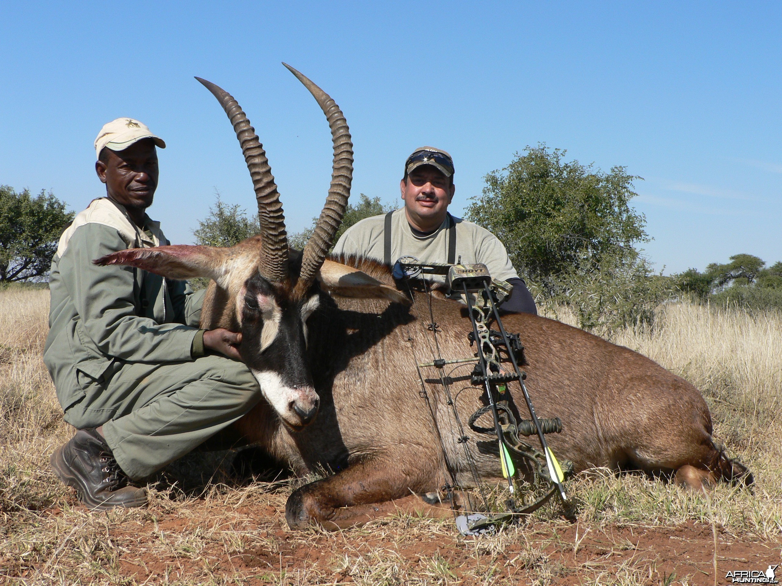 Bowhunting Roan with Wintershoek Johnny Vivier Safaris in SA