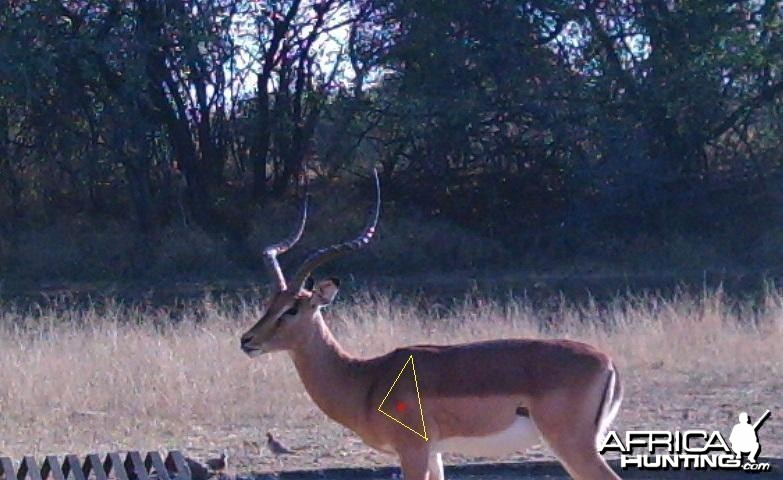 S'Dudla Game Cam Photos