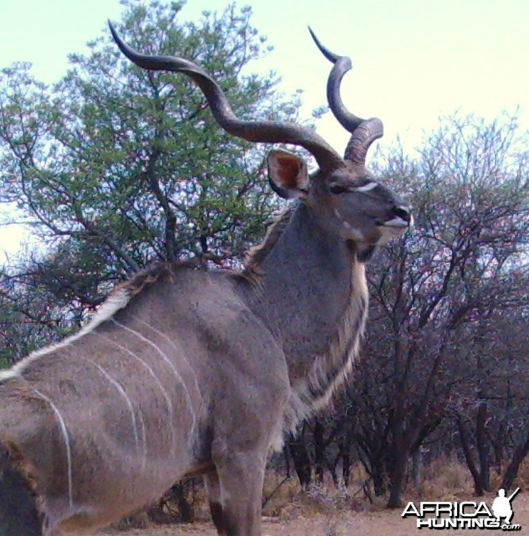 S'Dudla Game Cam Photos