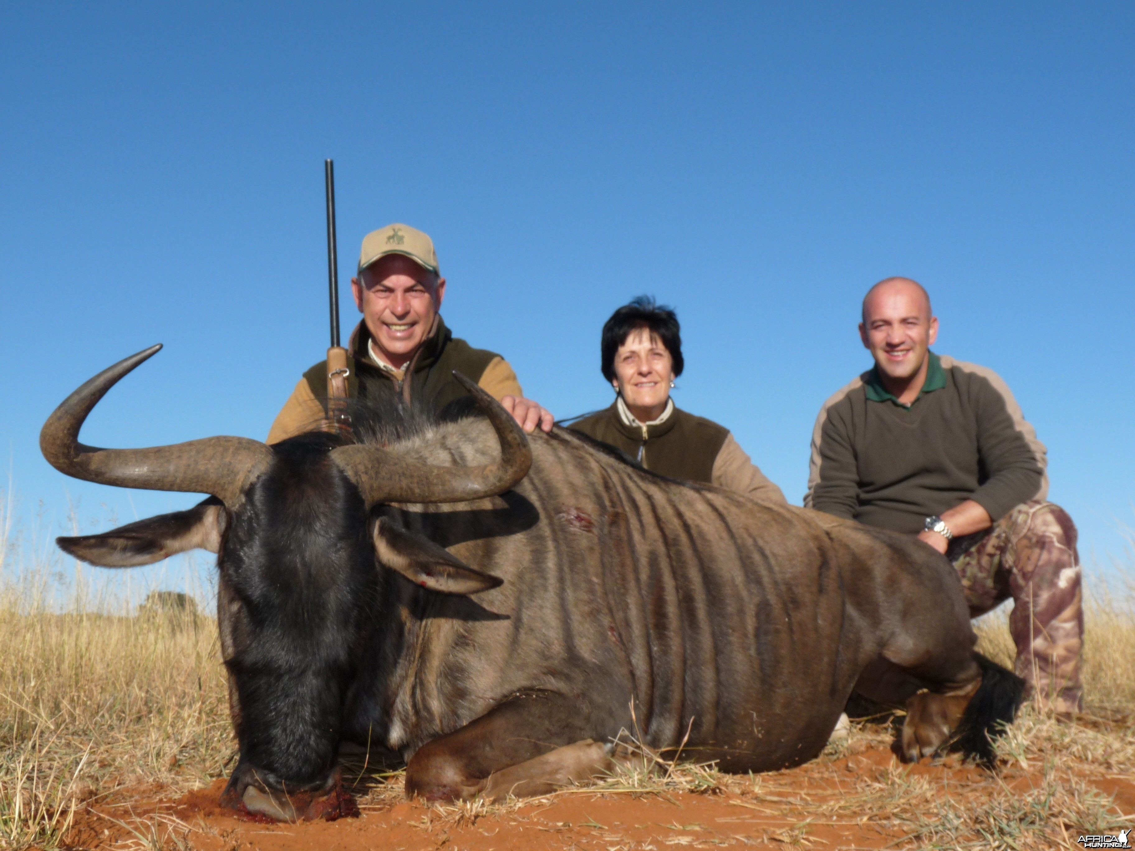 Hunting Blue Wildebeest with Wintershoek Johnny Vivier Safaris in SA