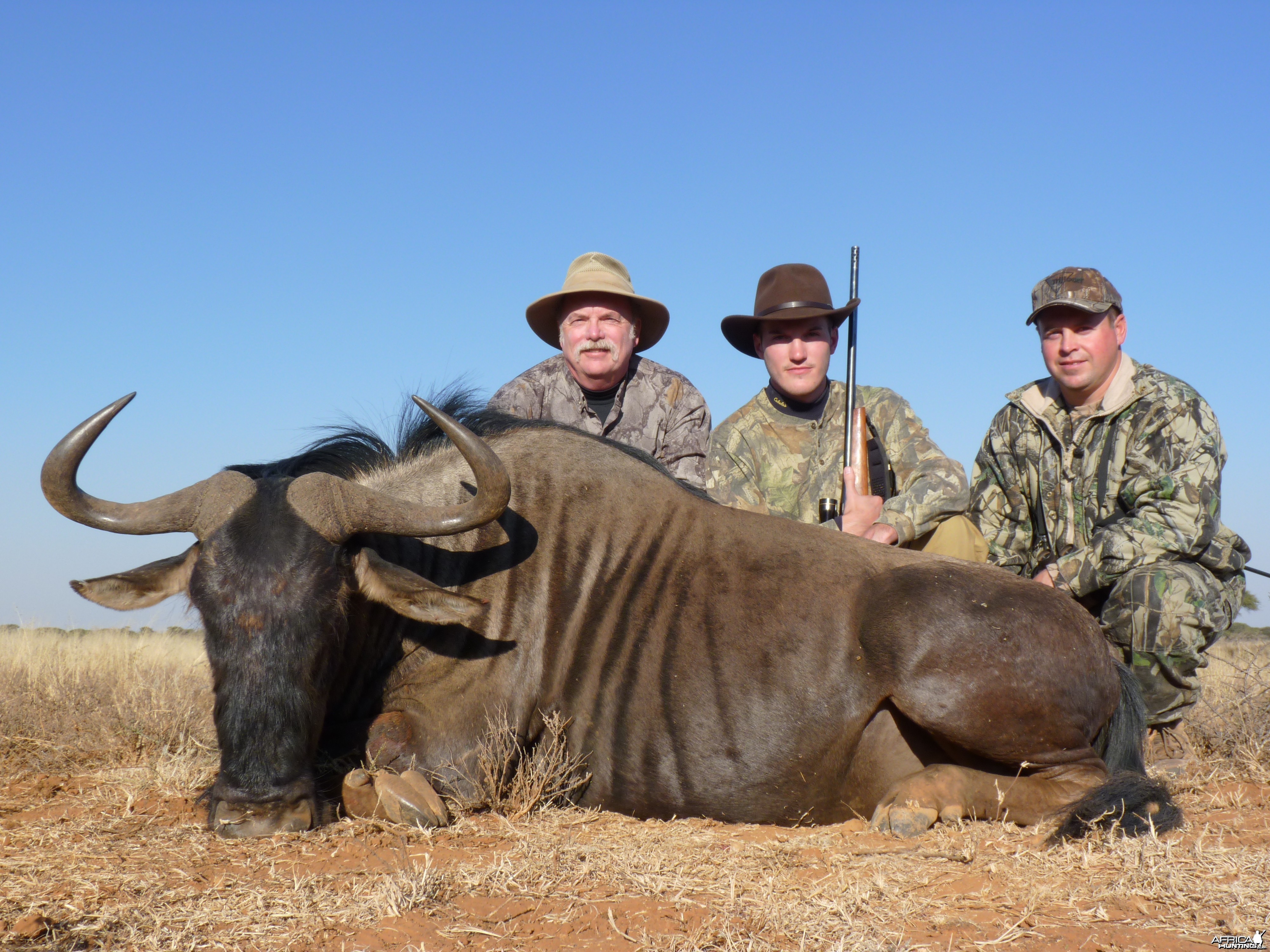 Hunting Blue Wildebeest with Wintershoek Johnny Vivier Safaris in SA