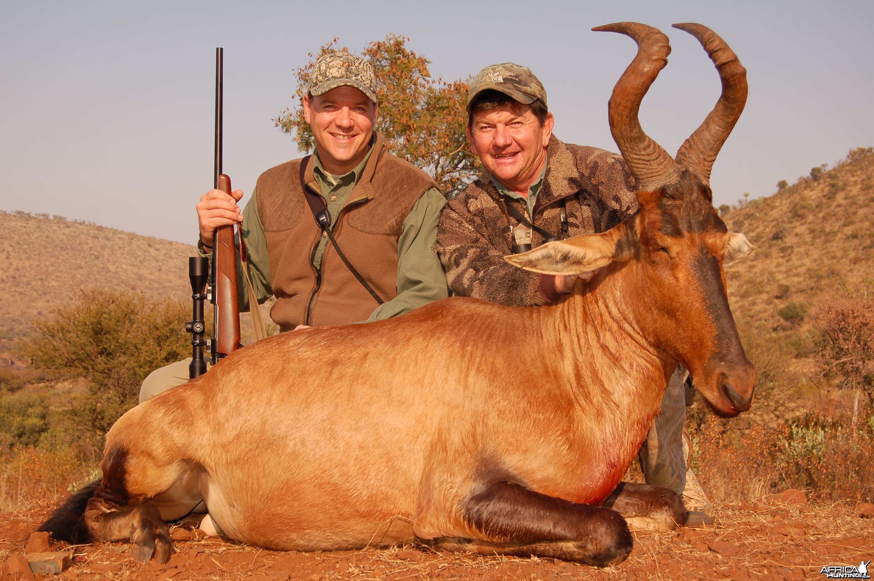 Hunting Red Hartebeest with Wintershoek Johnny Vivier Safaris in SA