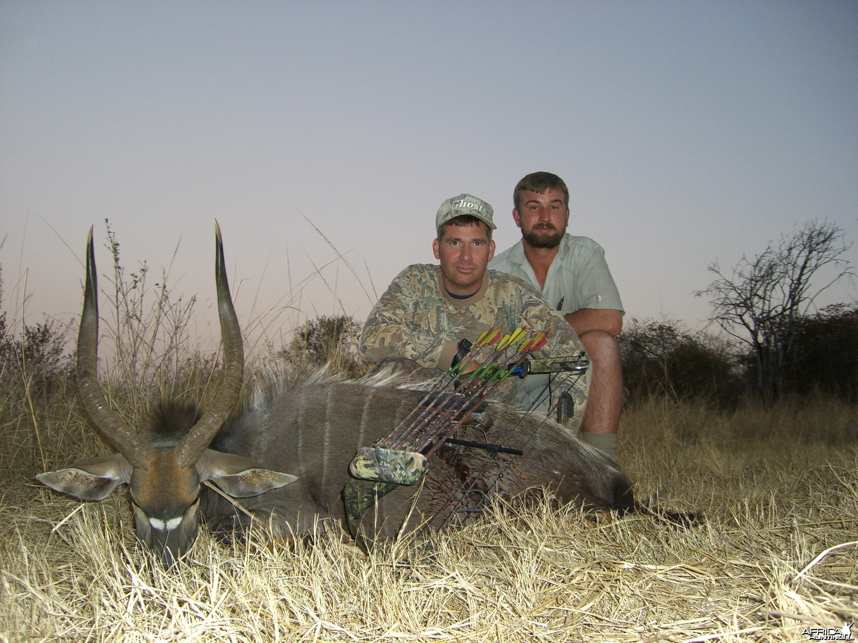 Bowhunting Nyala