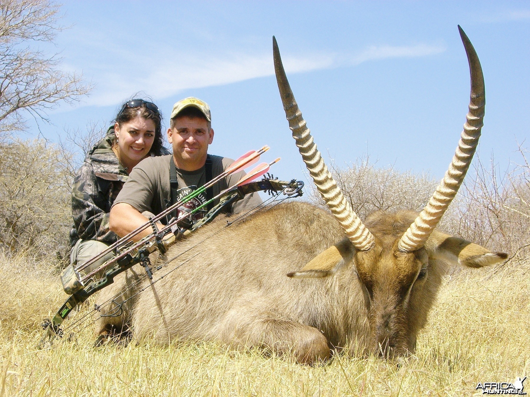 Bowhunting Waterbuck