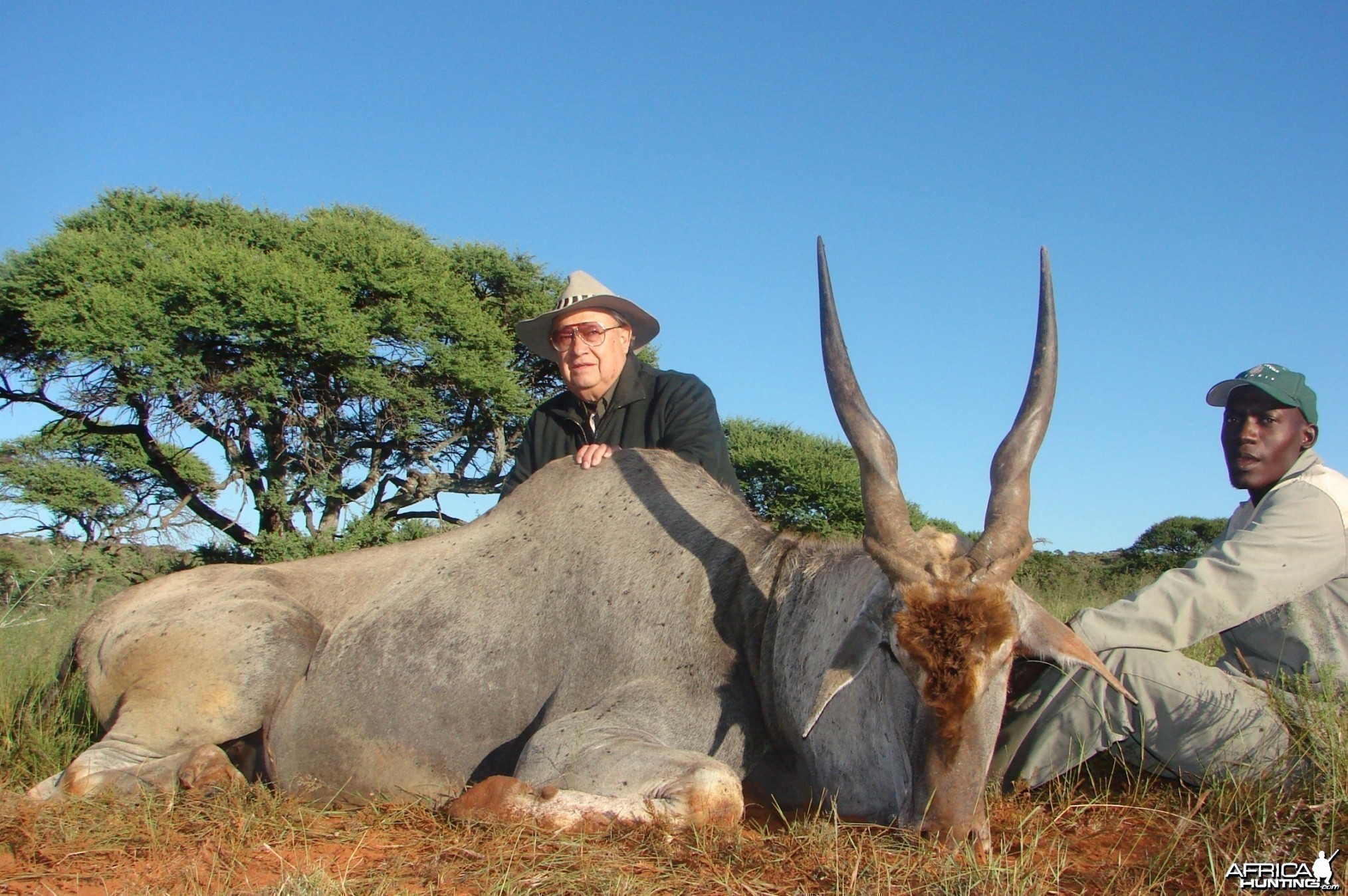 Hunting Eland with Wintershoek Johnny Vivier Safaris in SA