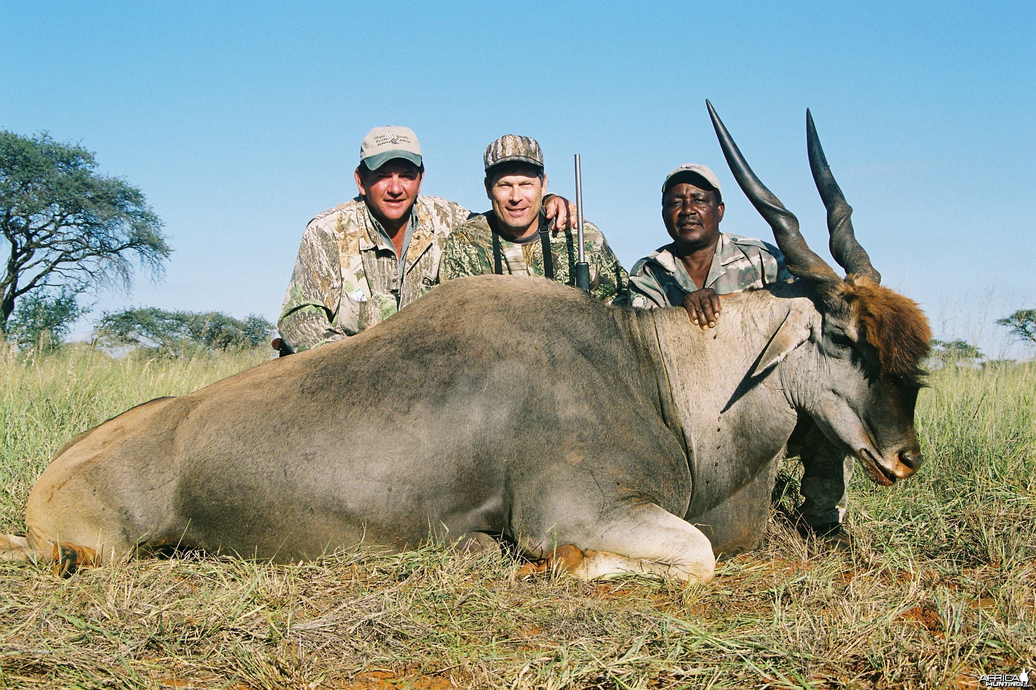 Hunting Eland with Wintershoek Johnny Vivier Safaris in SA