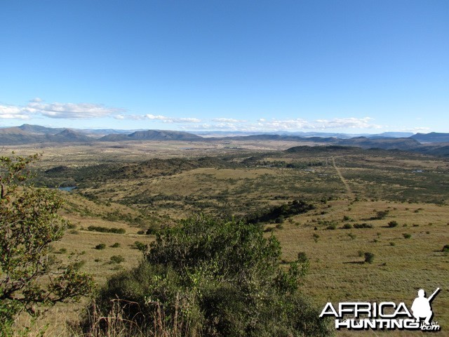 Roydon Private Nature Reserve in Queenstown in the Eastern Cape SA