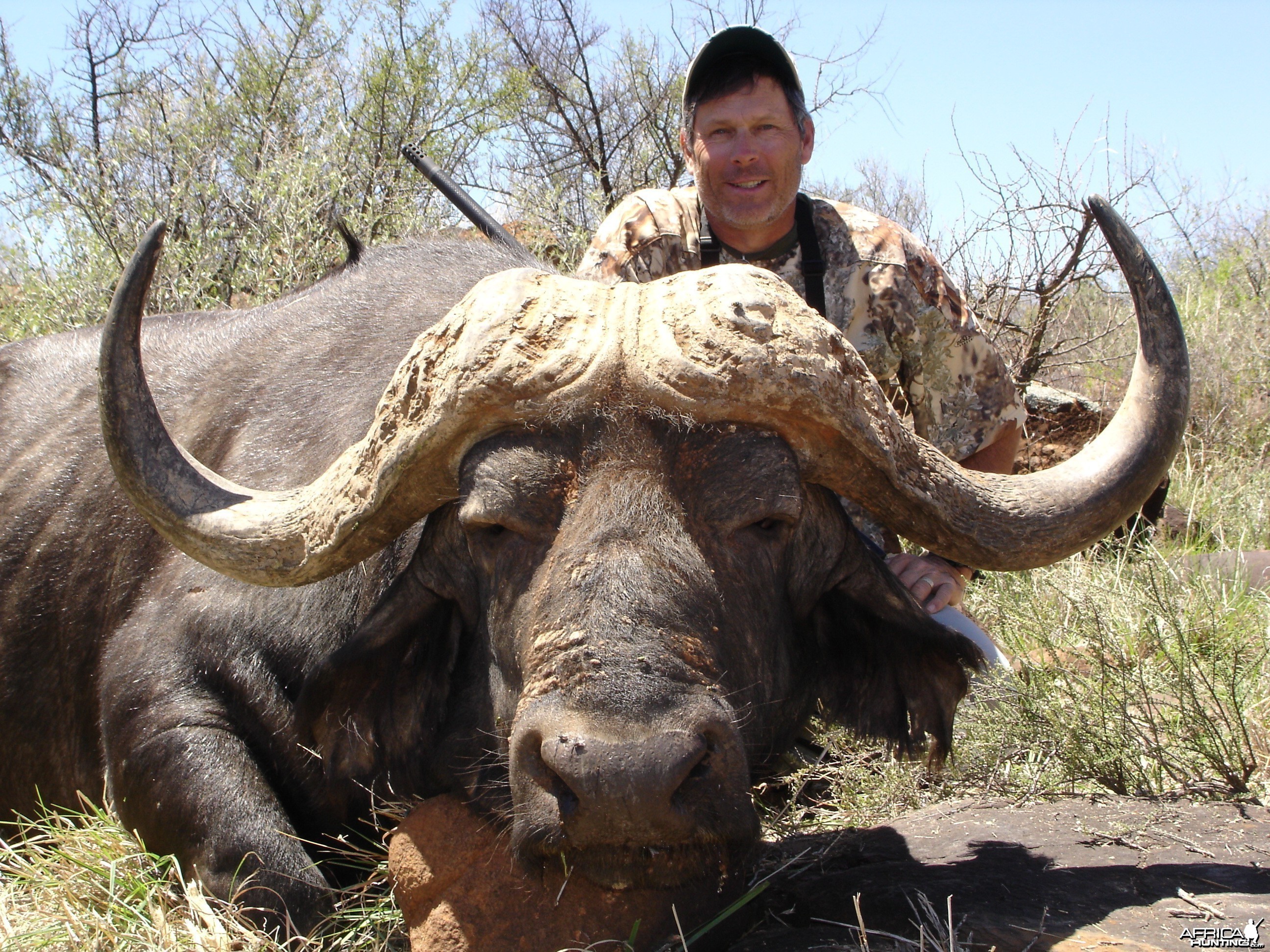 Hunting Buffalo with Wintershoek Johnny Vivier Safaris in SA