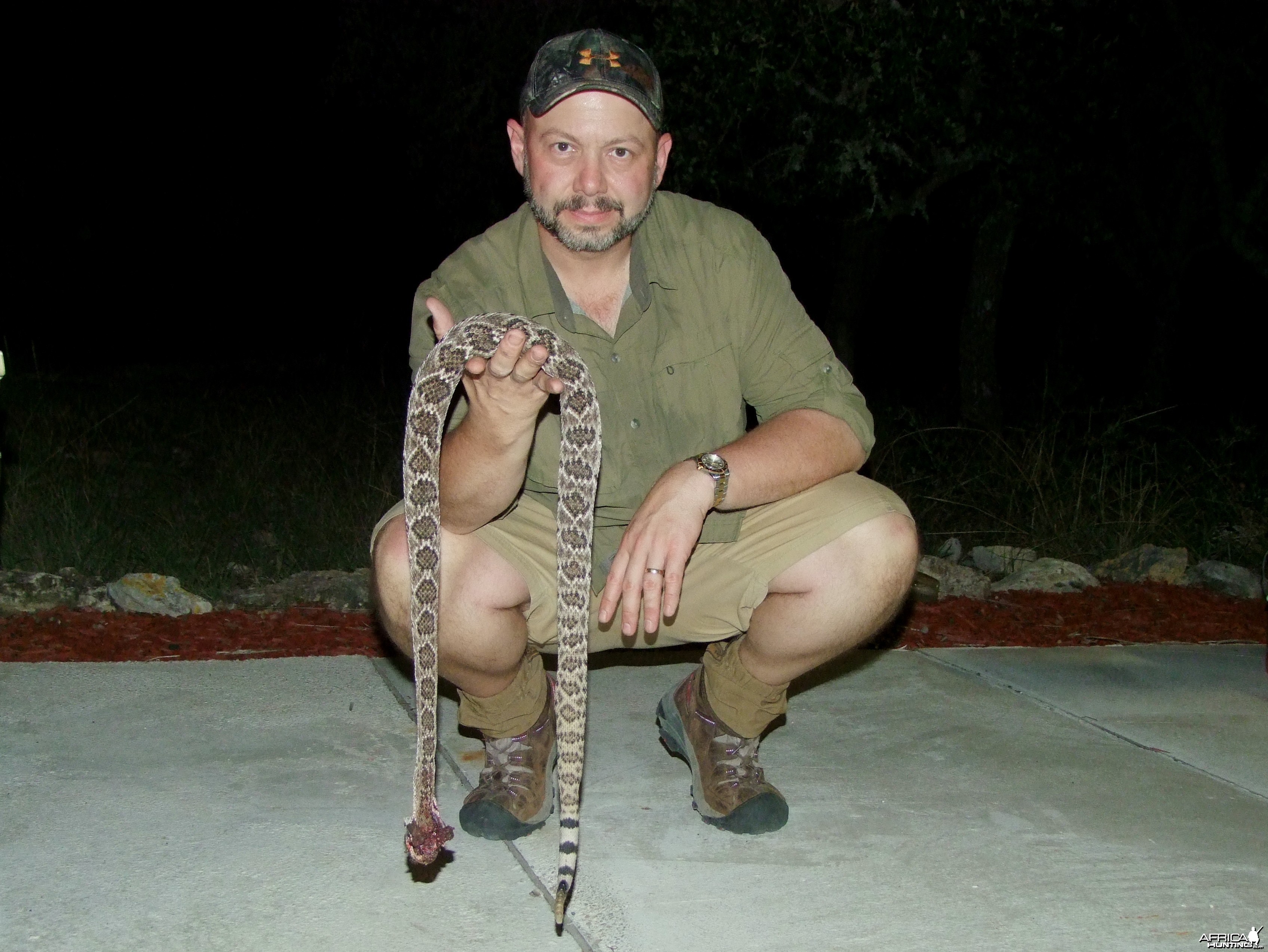 Rattle Snake 2010 Texas