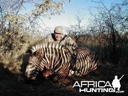 Bow Hunting Hartmann Mountain Zebra in Namibia
