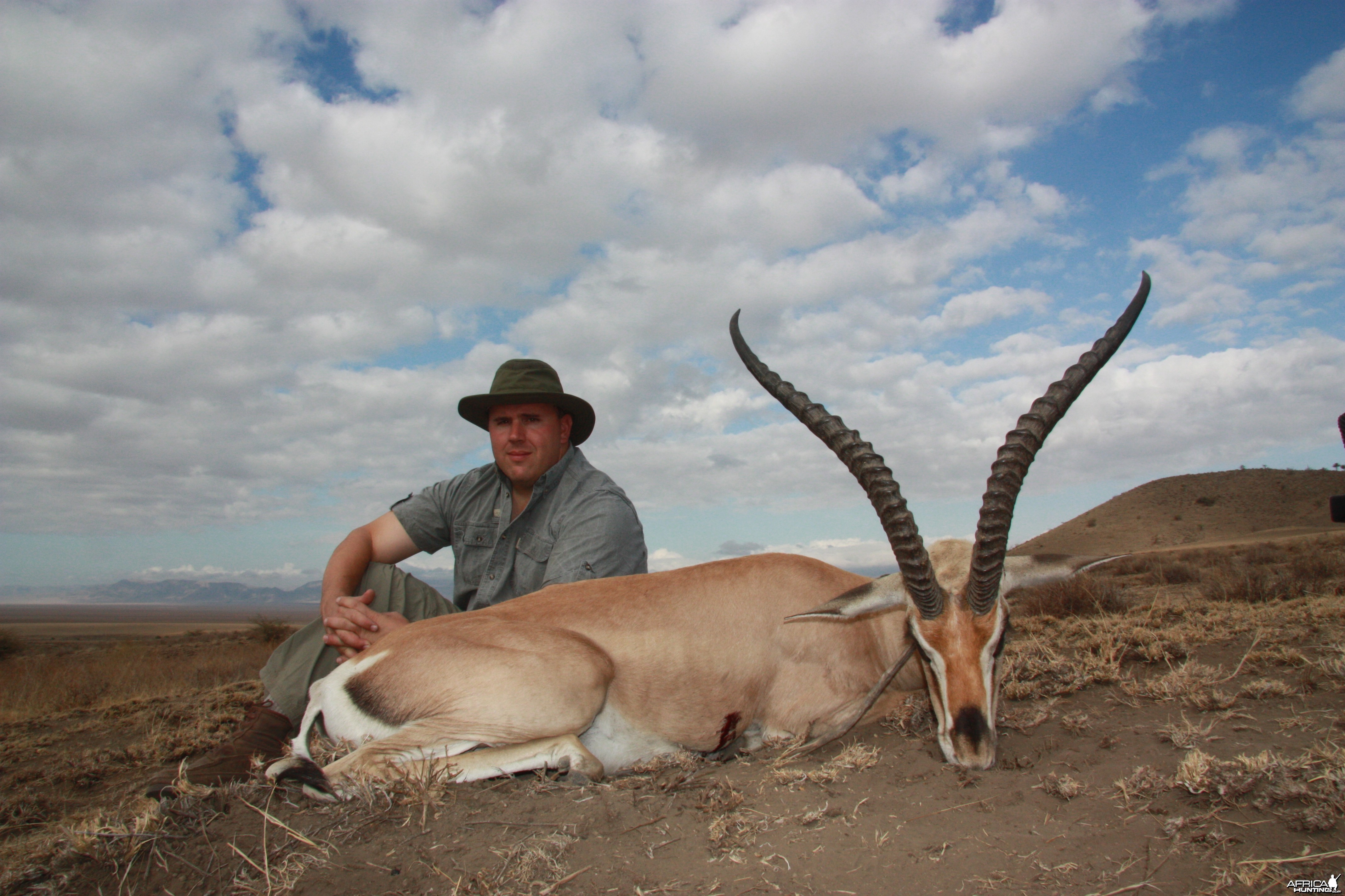 Roberts Gazelle