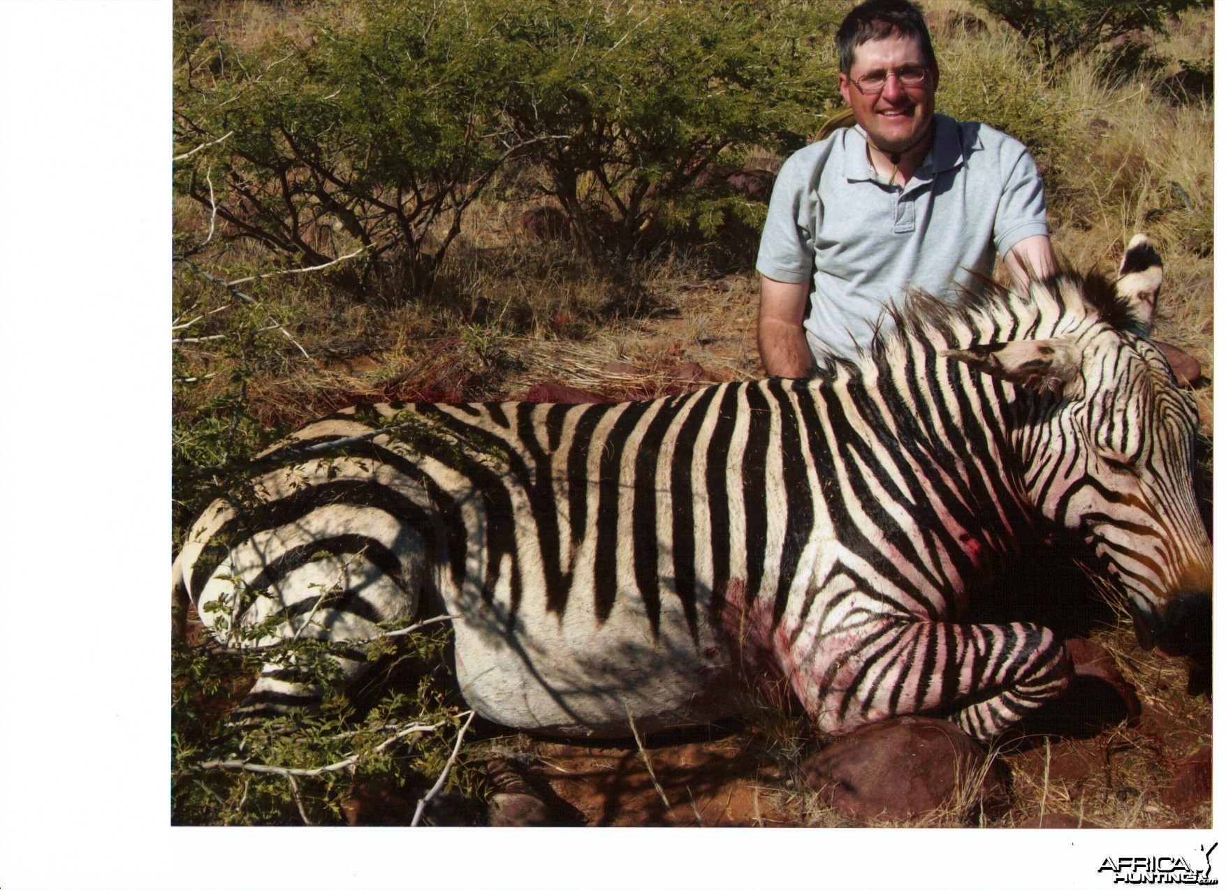 Mountain Zebra Namibia