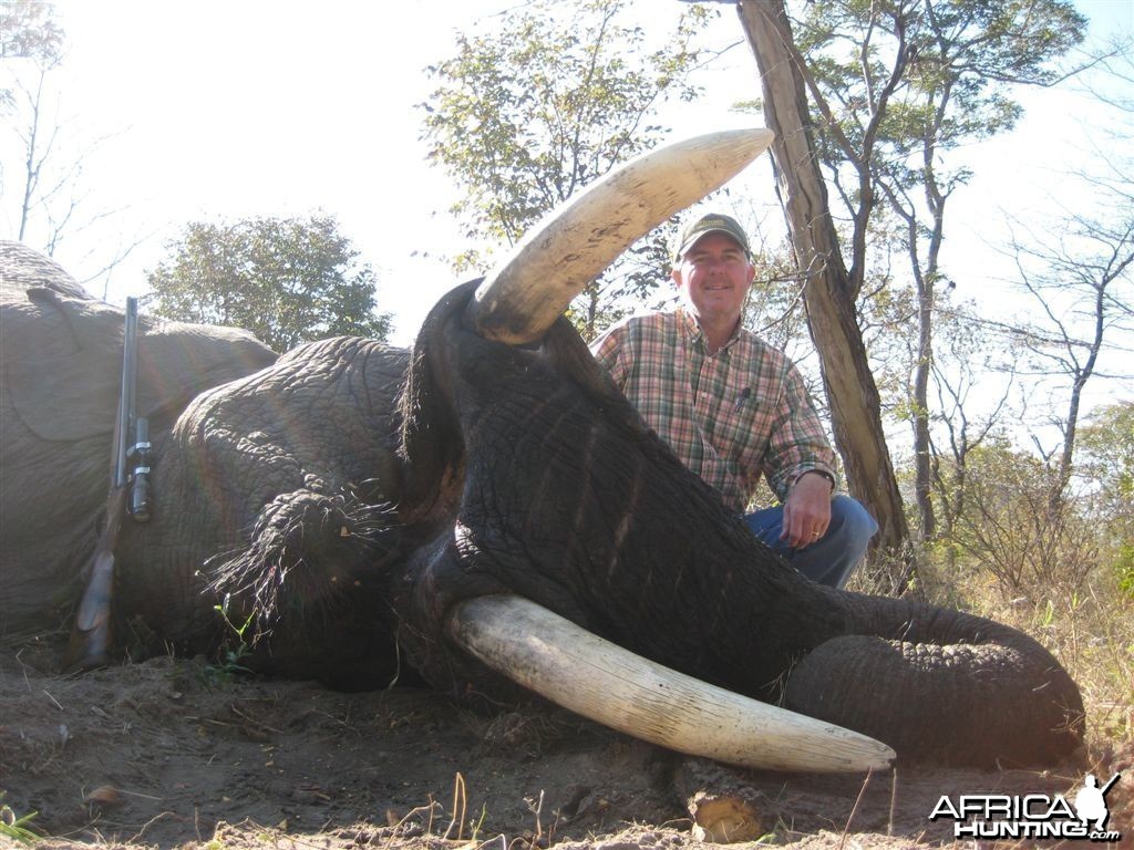 53 lbs Elephant hunted in the Caprivi Namibia