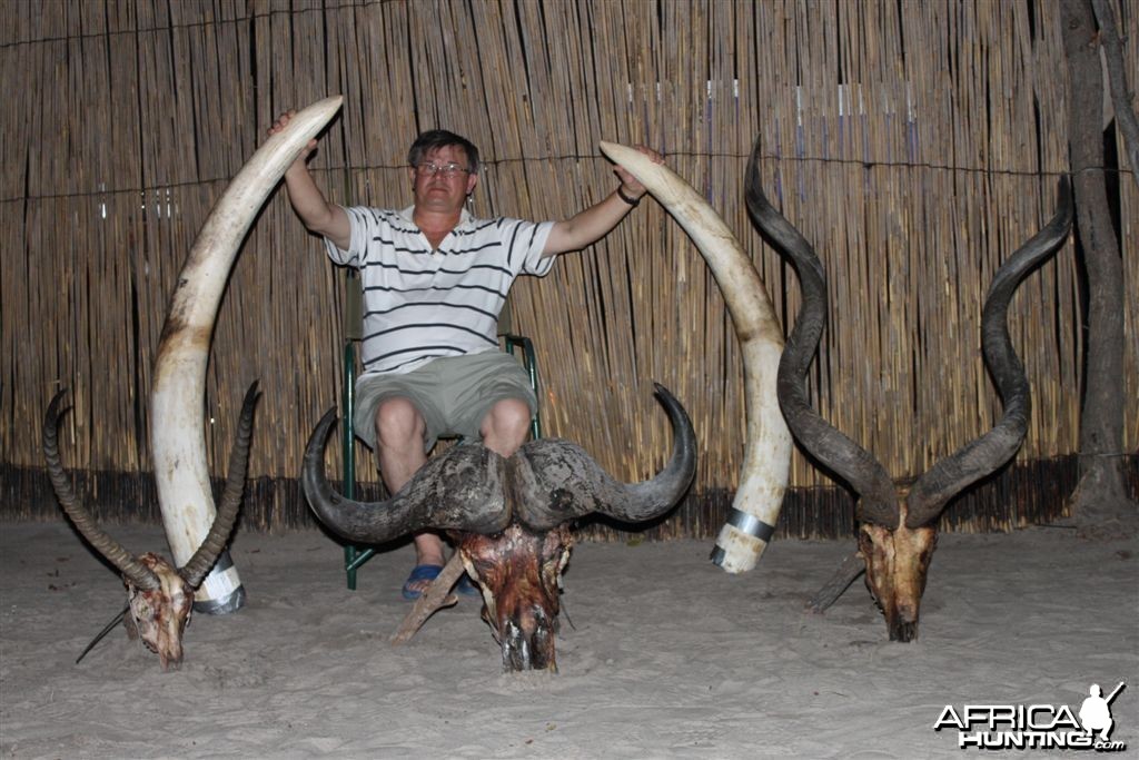 41 lbs Elephant hunted in the Caprivi Namibia