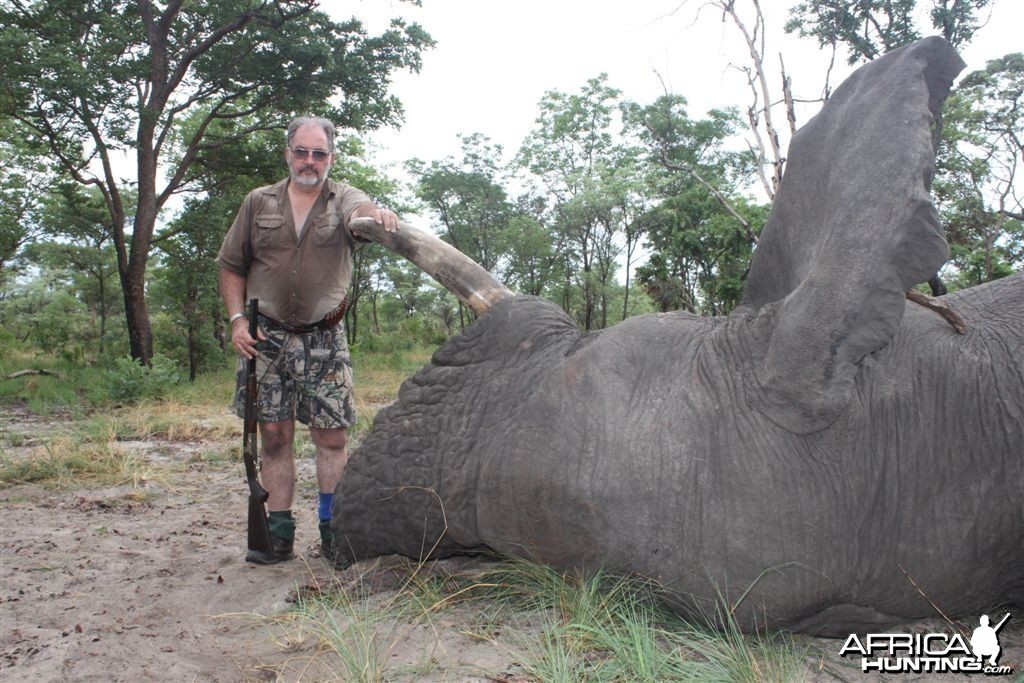 71 lbs Elephant hunted in the Kavango Namibia