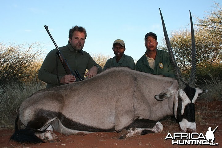 Gemsbok Namibia