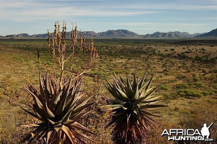 View of central Namibia area