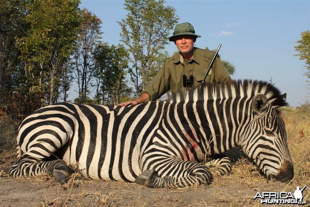 Zebra Namibia