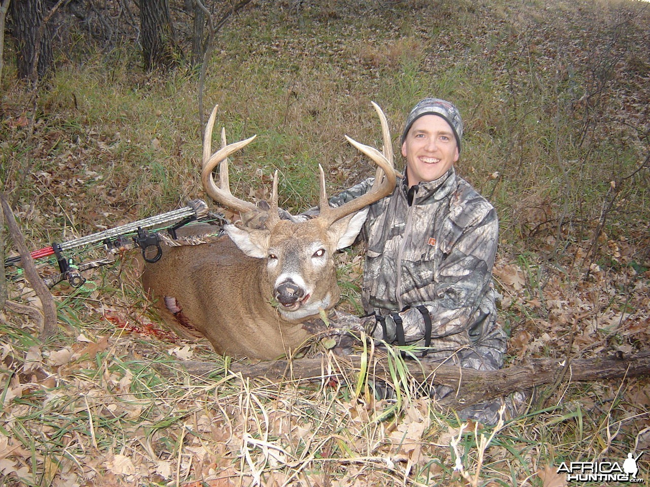 Bowhunting Buck