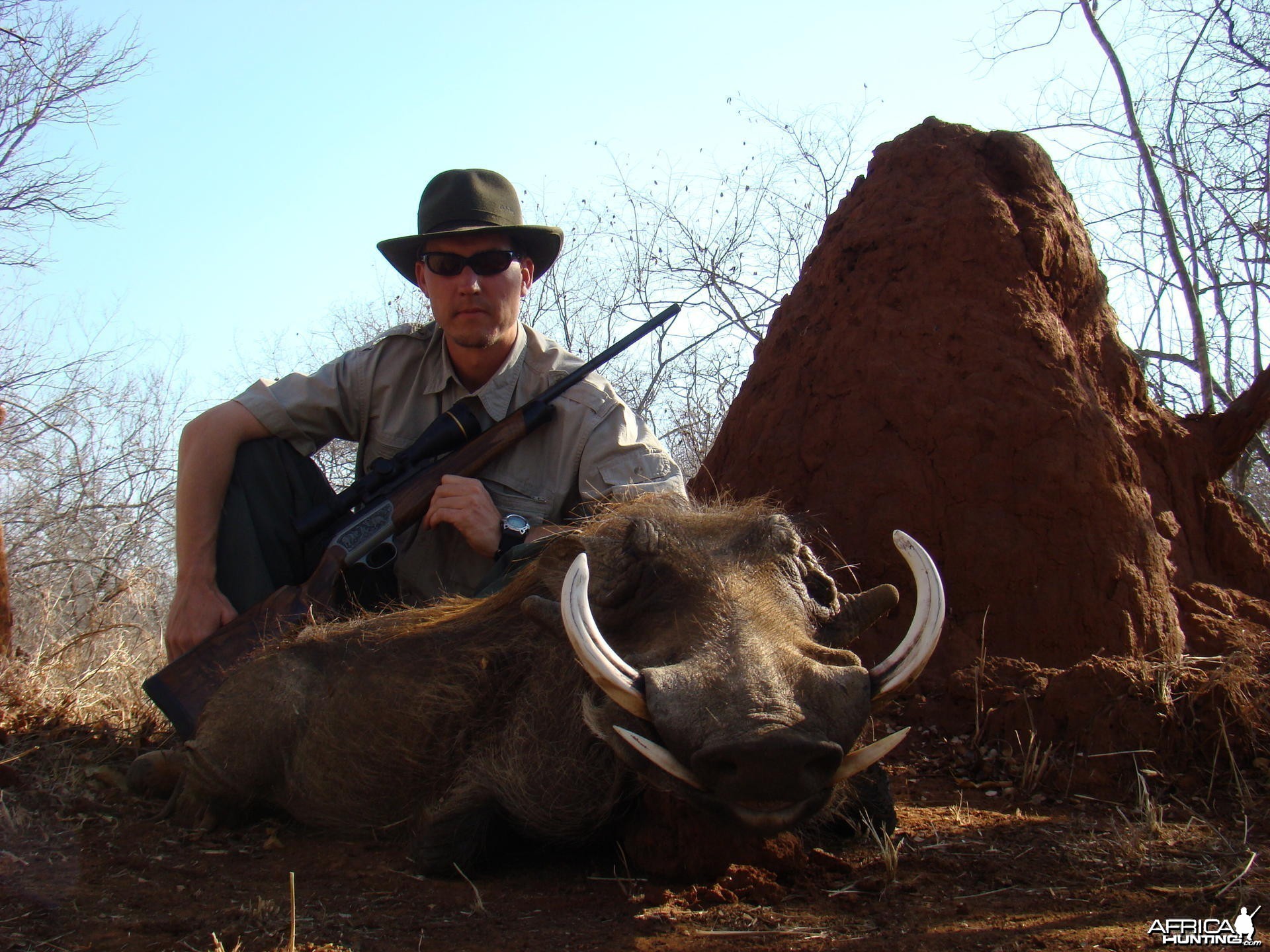 Hunting Warthog