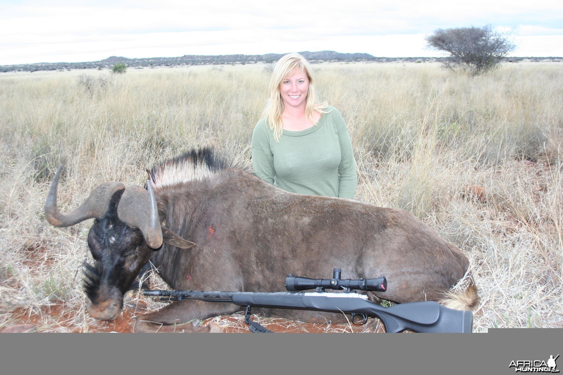 My wife Black Wildebeest