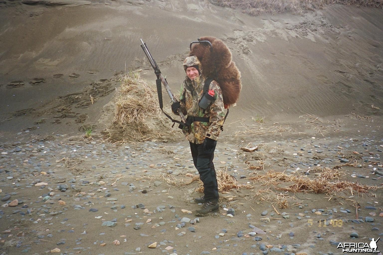 Alaska Brown Bear