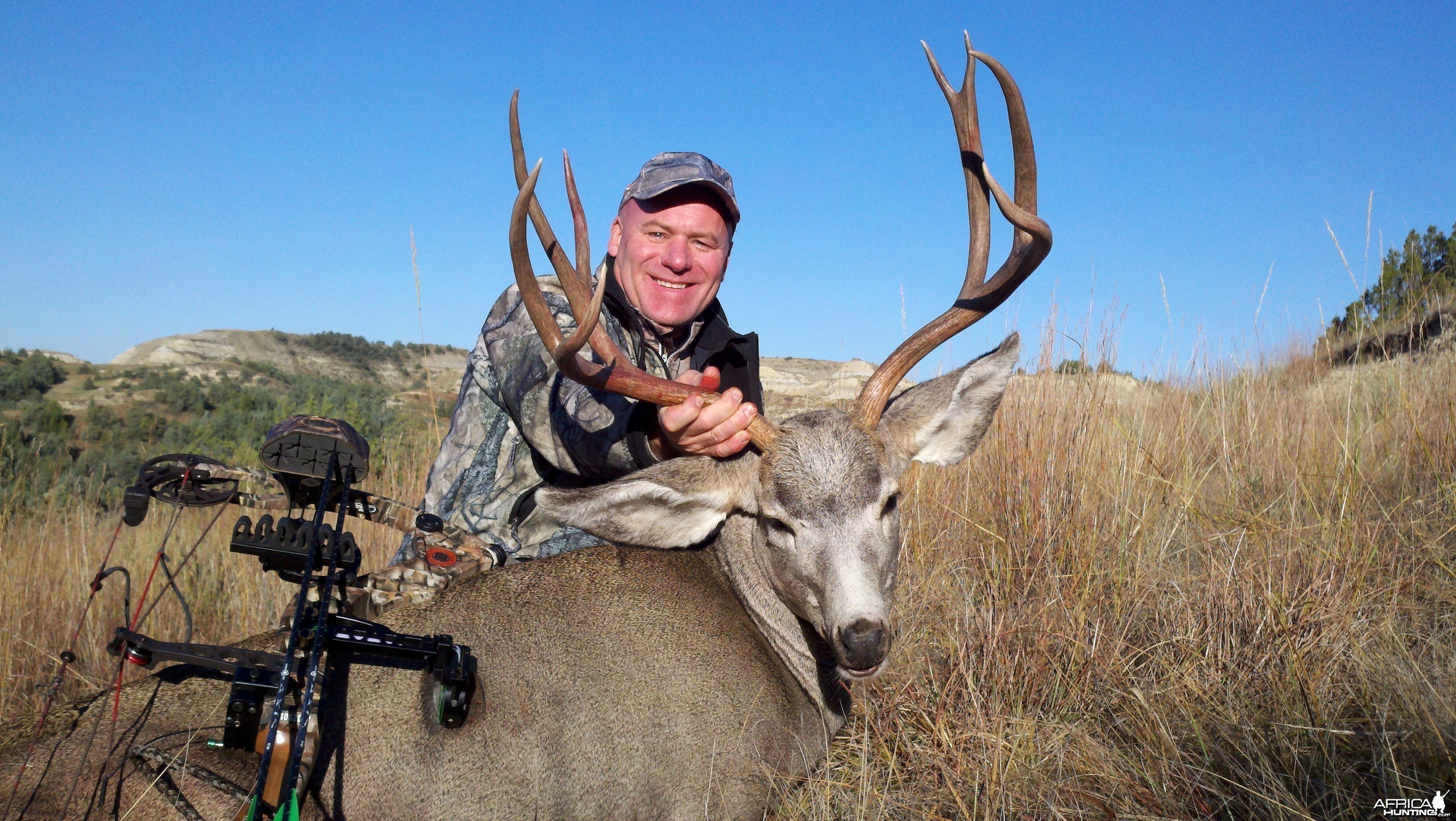 North dakota Mule Deer