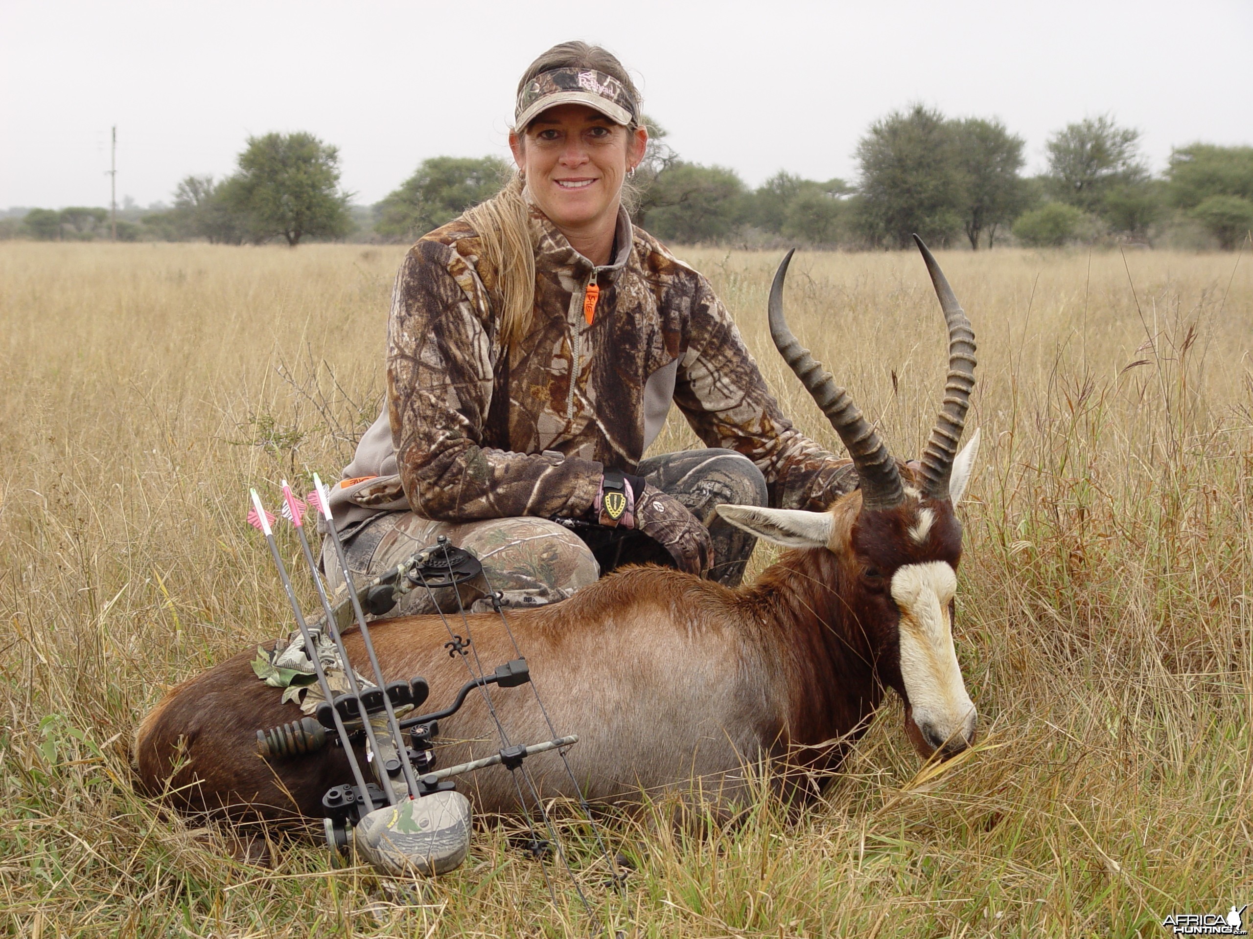 Lisa's Blesbok at Limcroma Safaris