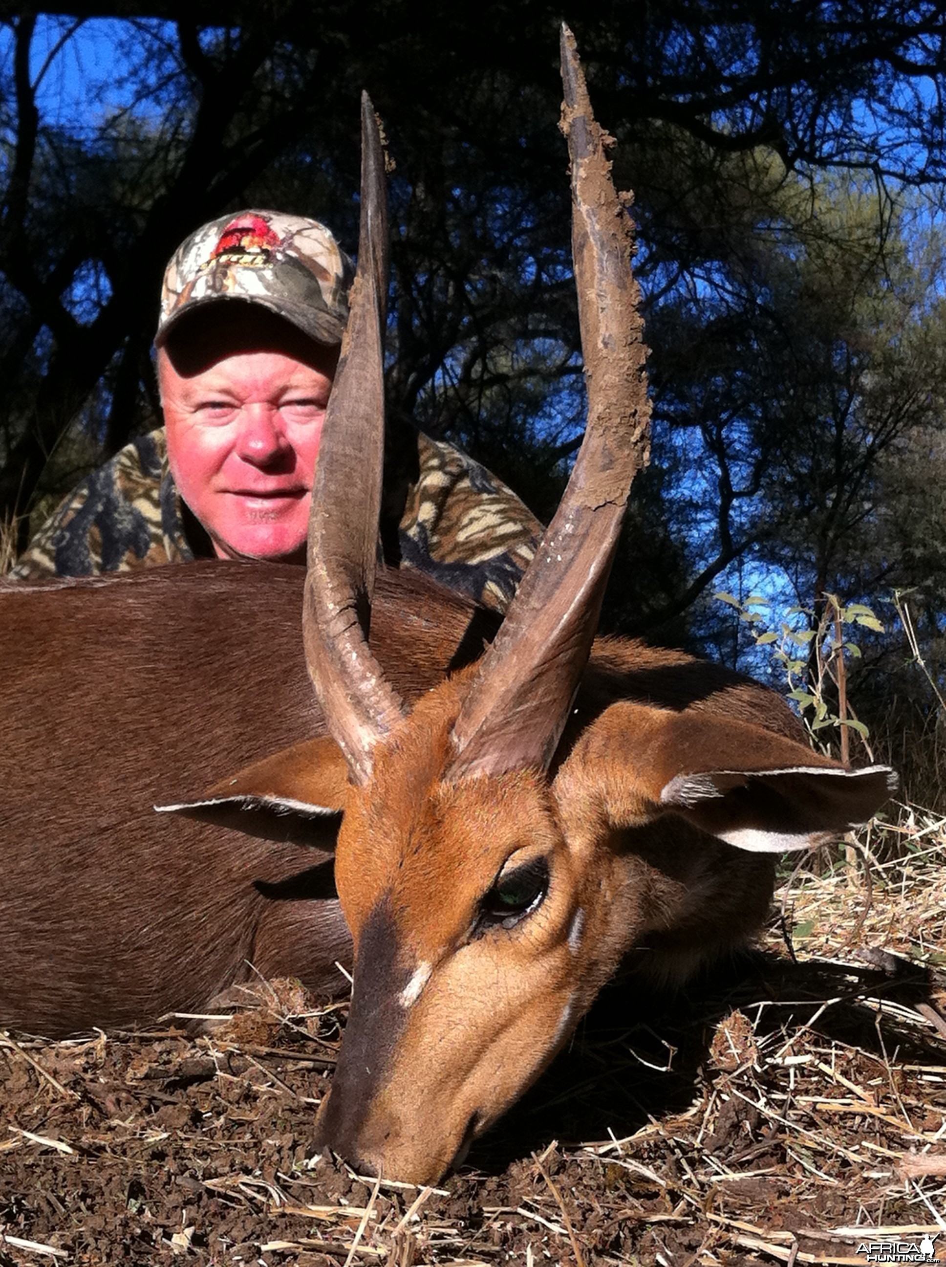 Limpopo Bushbuck 2011