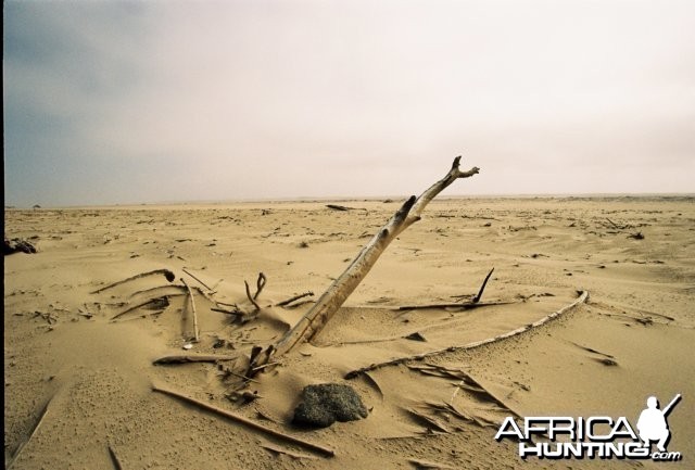 Angola