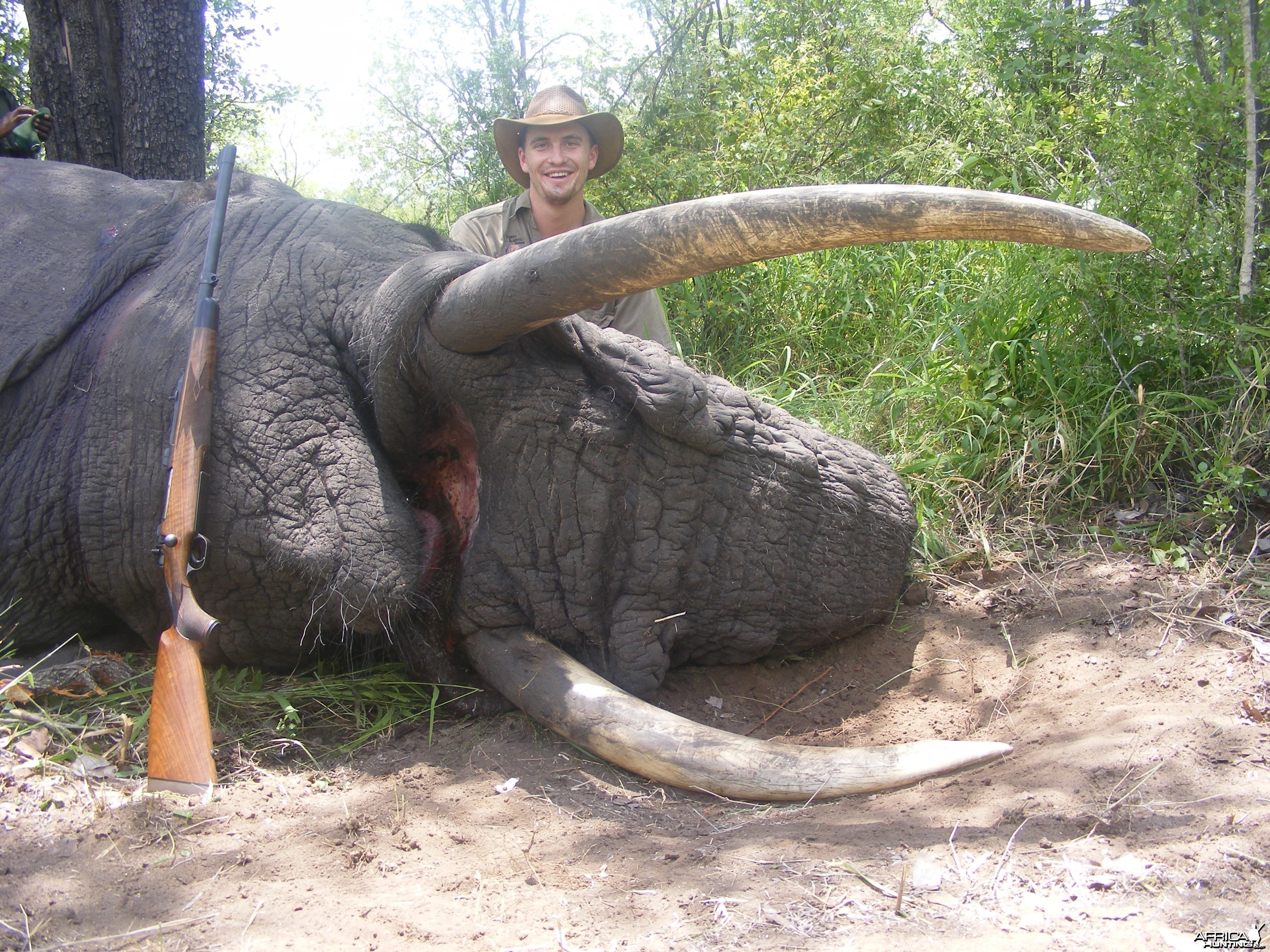 2011 elephant hunt Zimbabwe