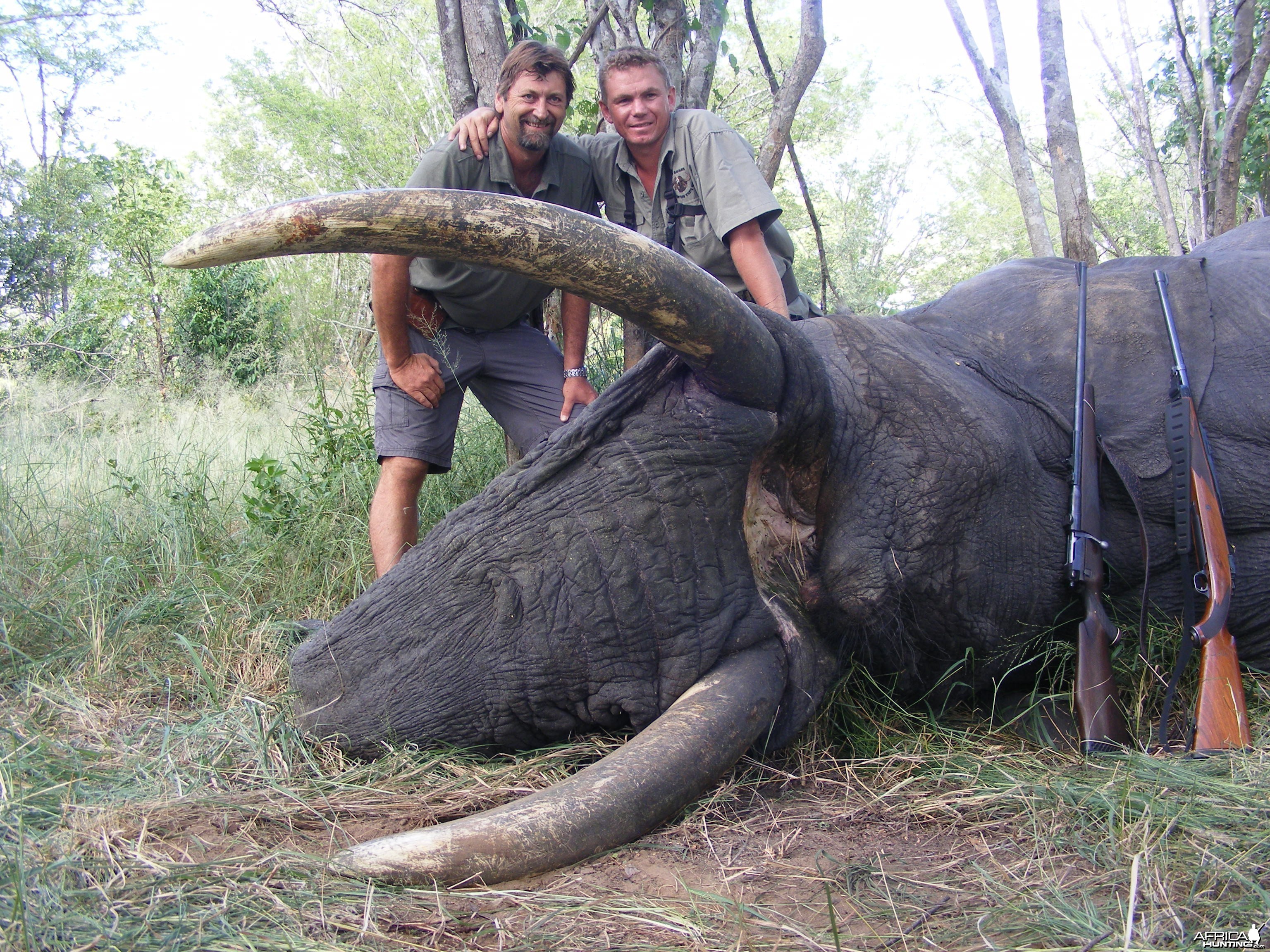 2011 elephant hunt Zimbabwe