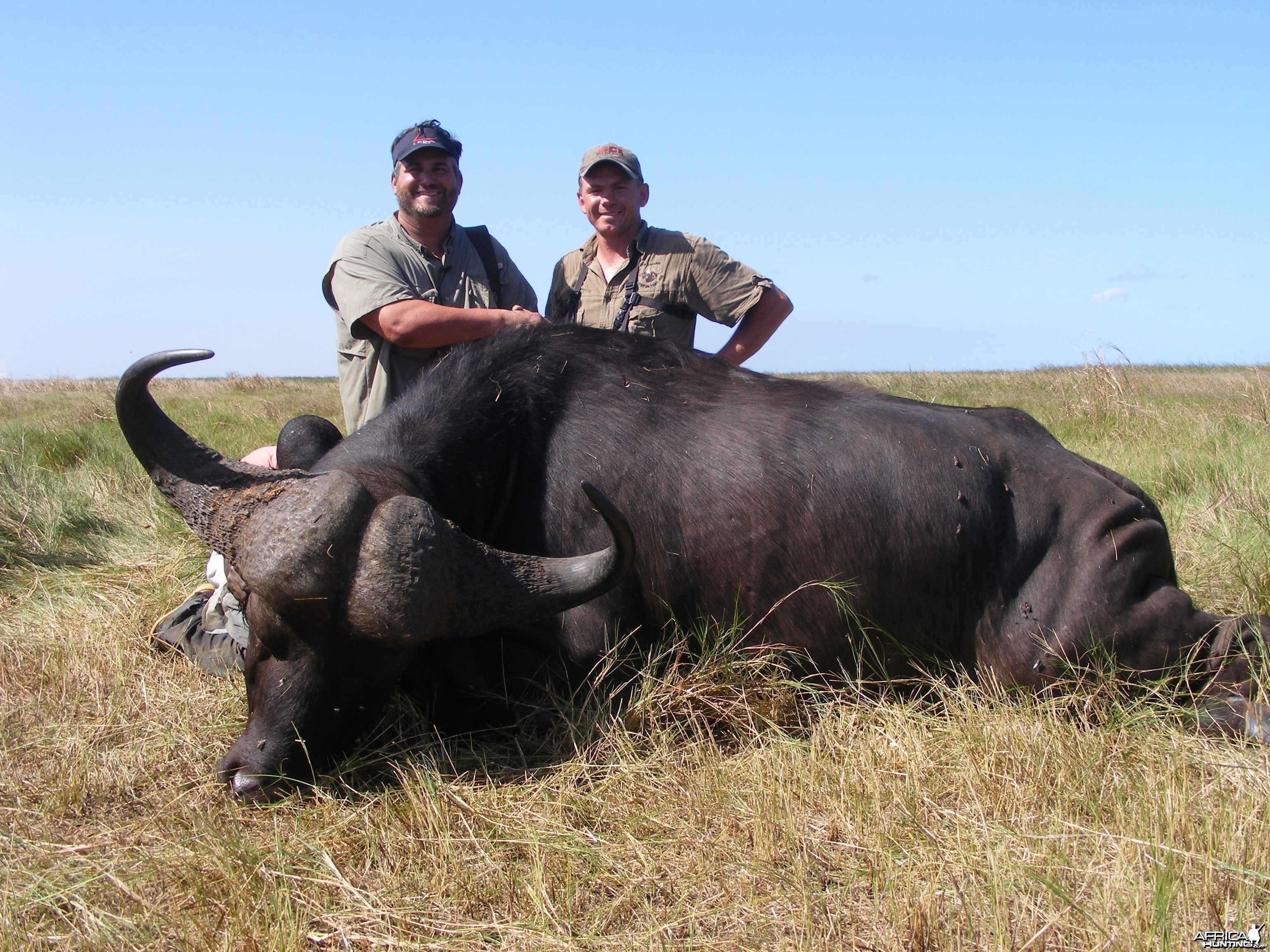 john wilson with mozambique zambezi delta buffalo ,2010