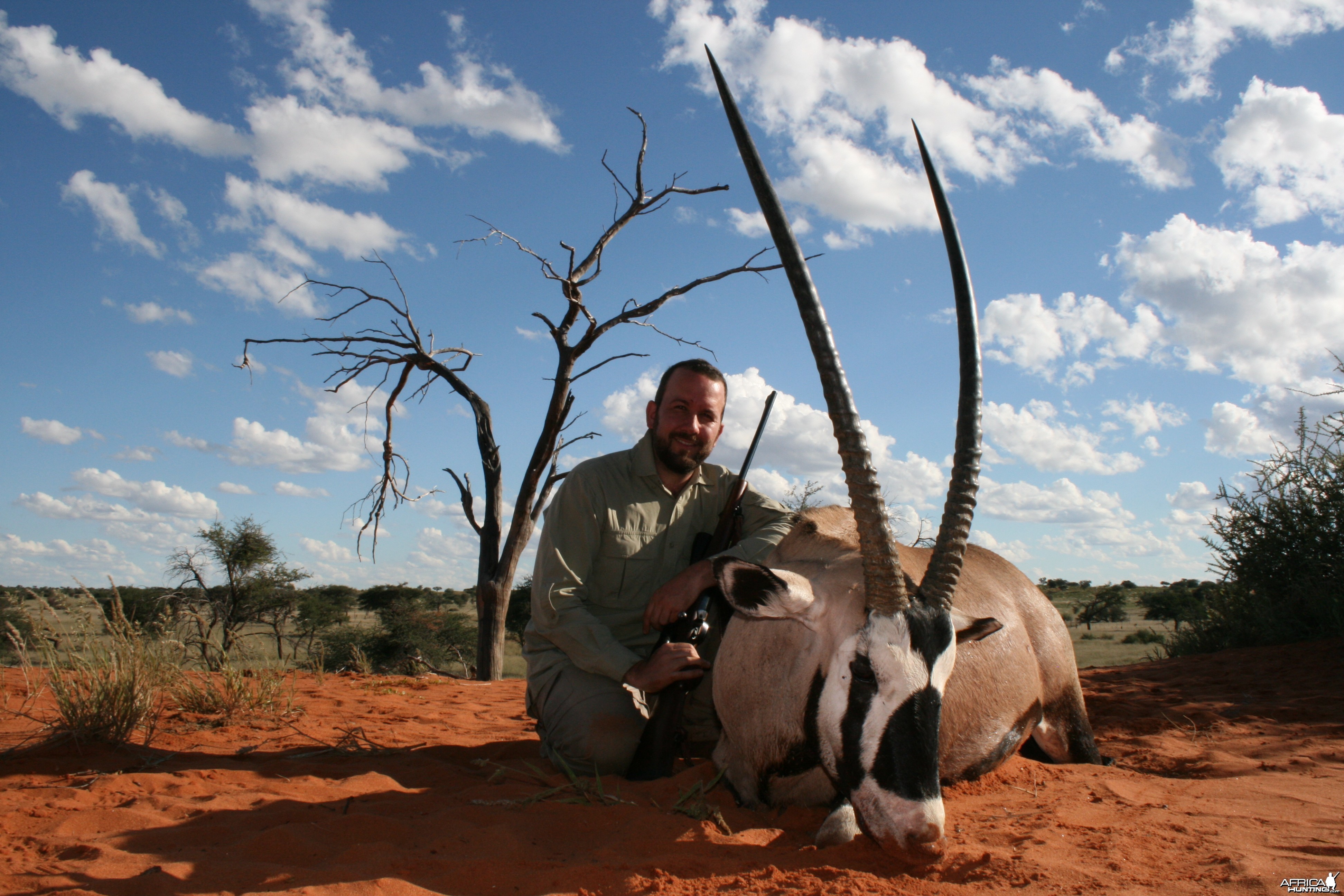 Oryx, Kalahari