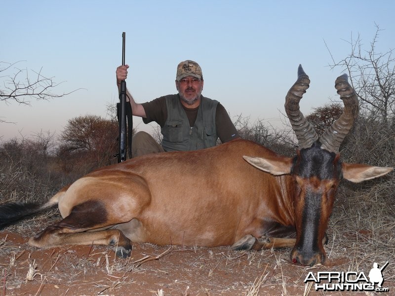 Hartebeest 2008